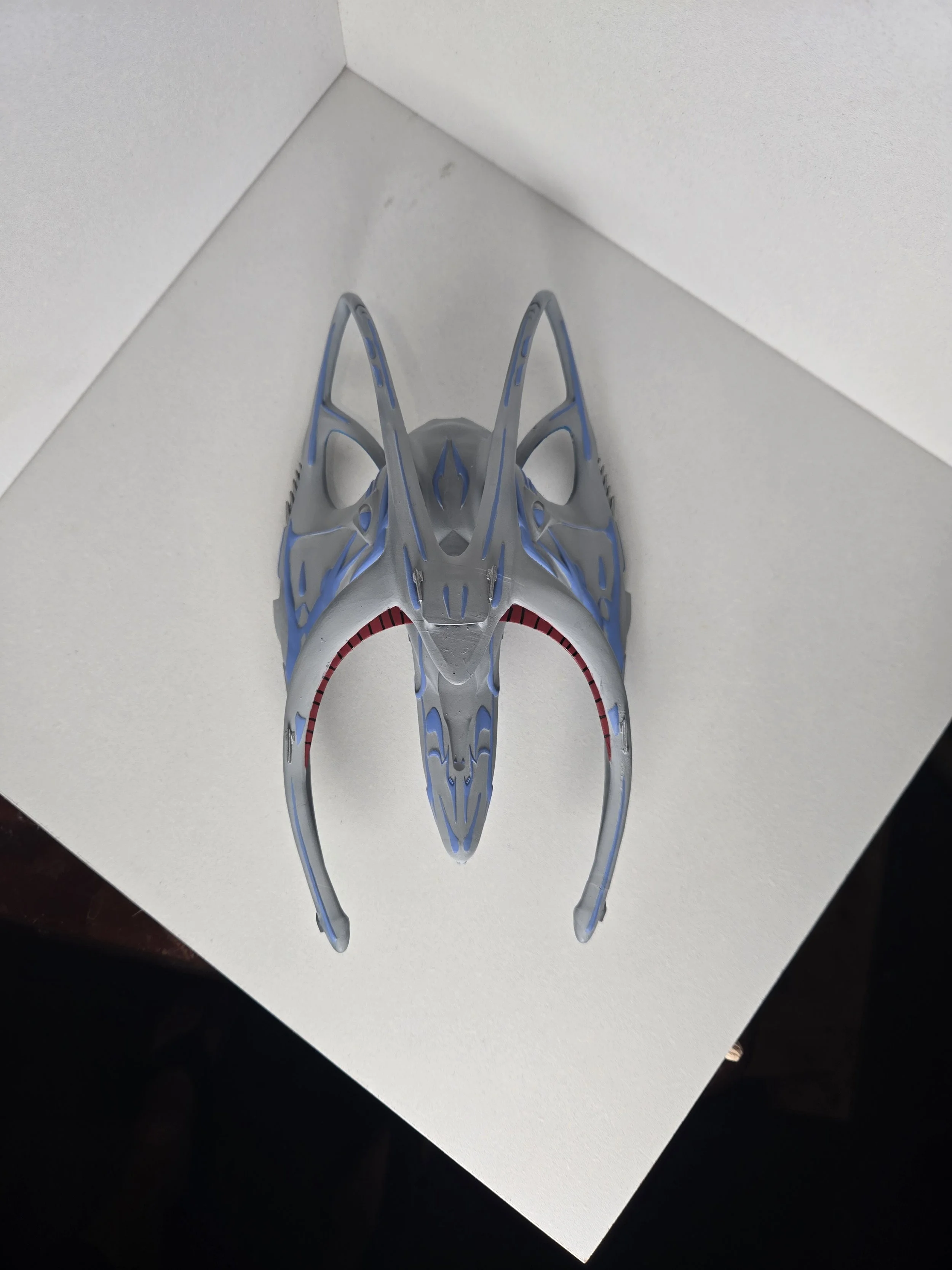 20250126_221032.jpg