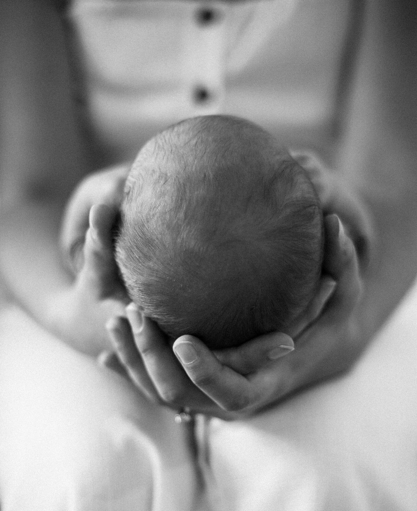 Holding your entire world in the palm of your hands. Pretty god damn special.

.

.

#brisbanephotographer #brisbanefamilyphotographer #brisbanenewbornphotographer #familyphotographer #canonphotography #canon #canonaustralia #photographer #brisbane #