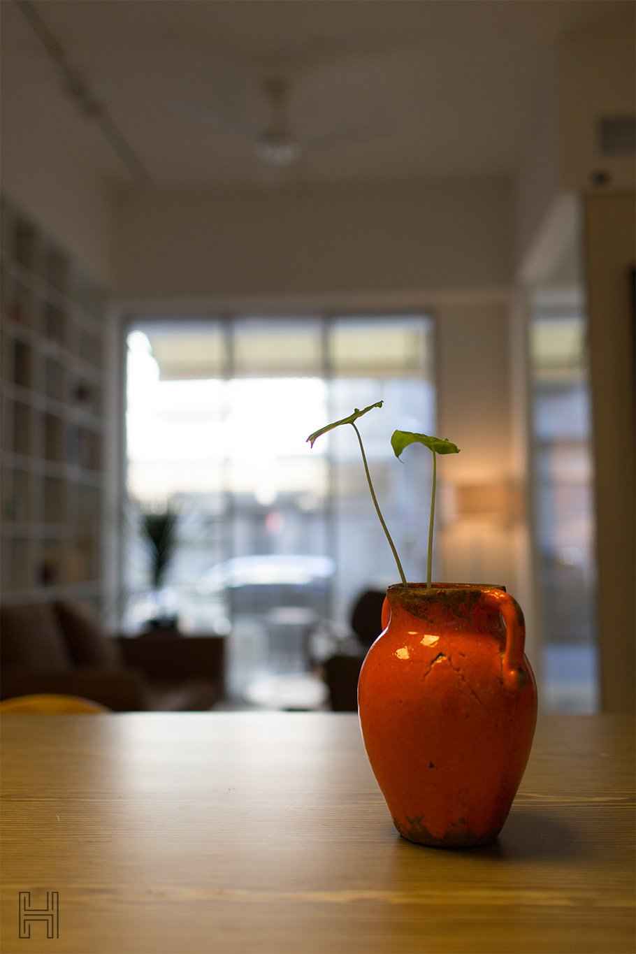 211101 禾研空間設計 新竹住宅16776-9.jpg