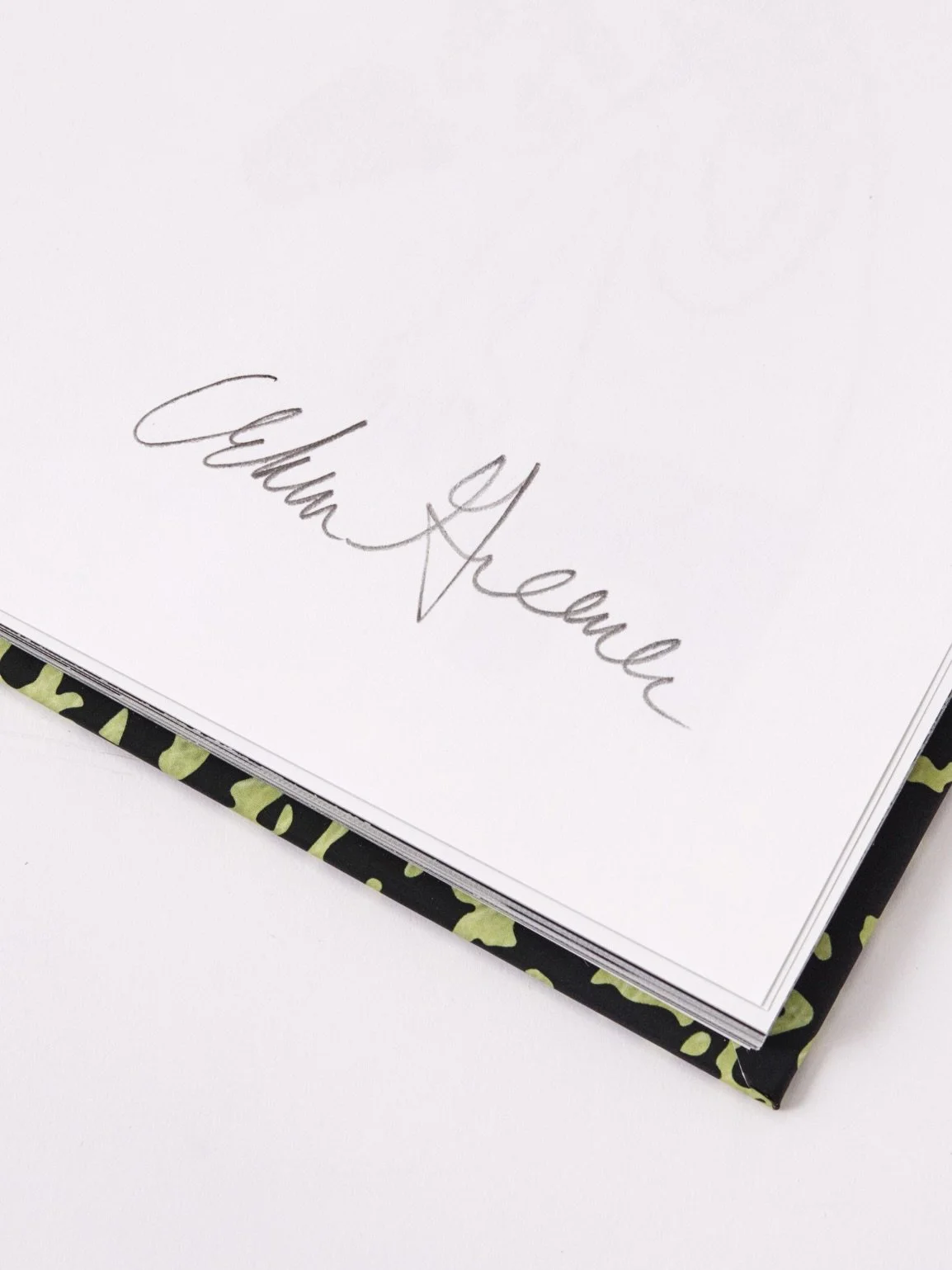 adam art book60716-no-counter.JPG