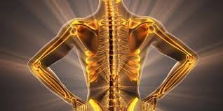 Bone Health: Why Women Need More Than “Just Take Calcium”