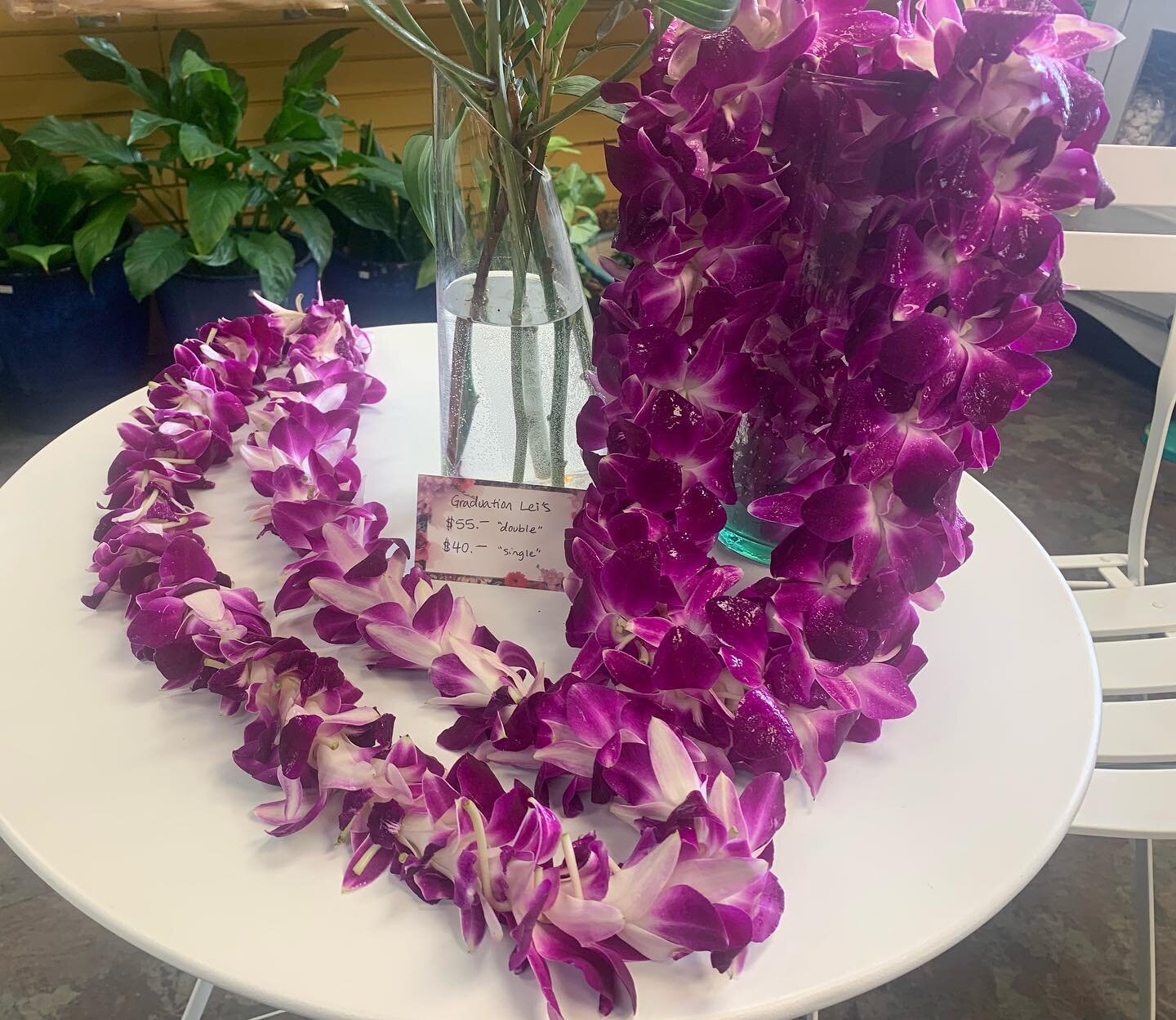 We&rsquo;ve got a handful of purple leis still available for graduation Monday! Give us a call to reserve yours.
Singles-$40
Doubles-$55