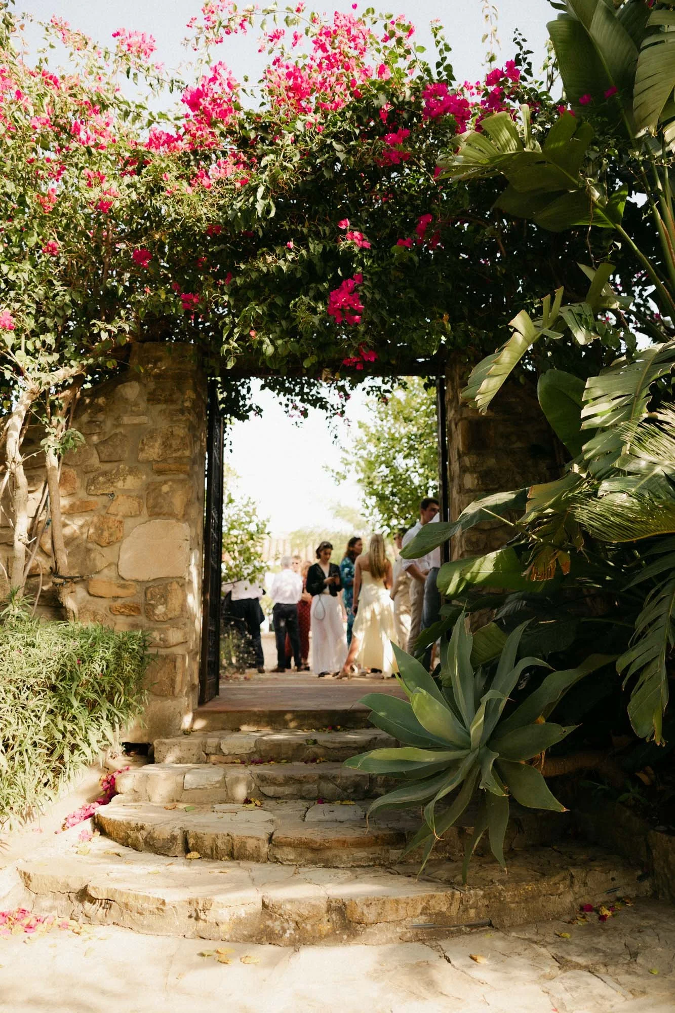 Laid back luxury wedding cocktail hour with refined details and an unforced mood Finca la Gloria