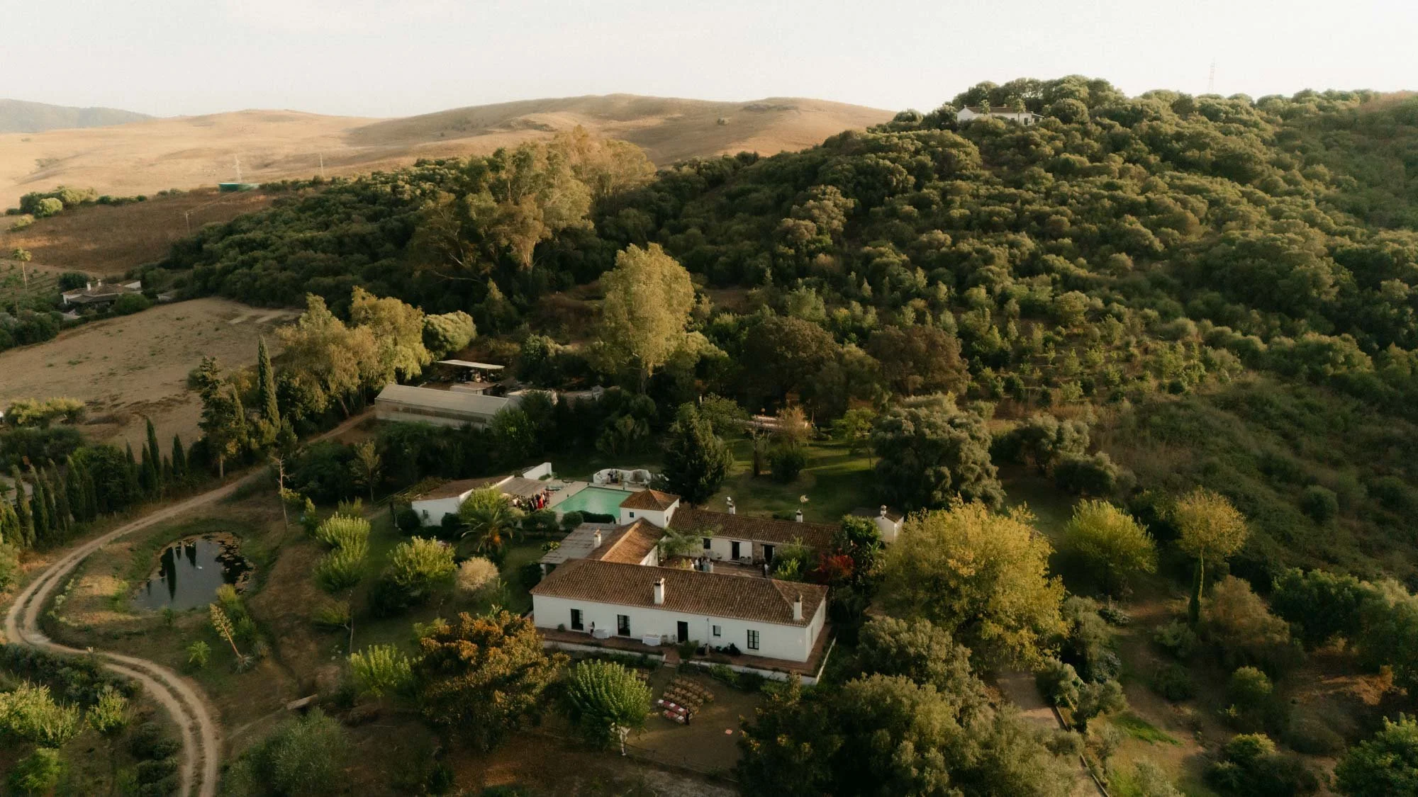 Outdoor wedding cocktail hour in Andalusia surrounded by nature and warm southern light in Finca la Gloria