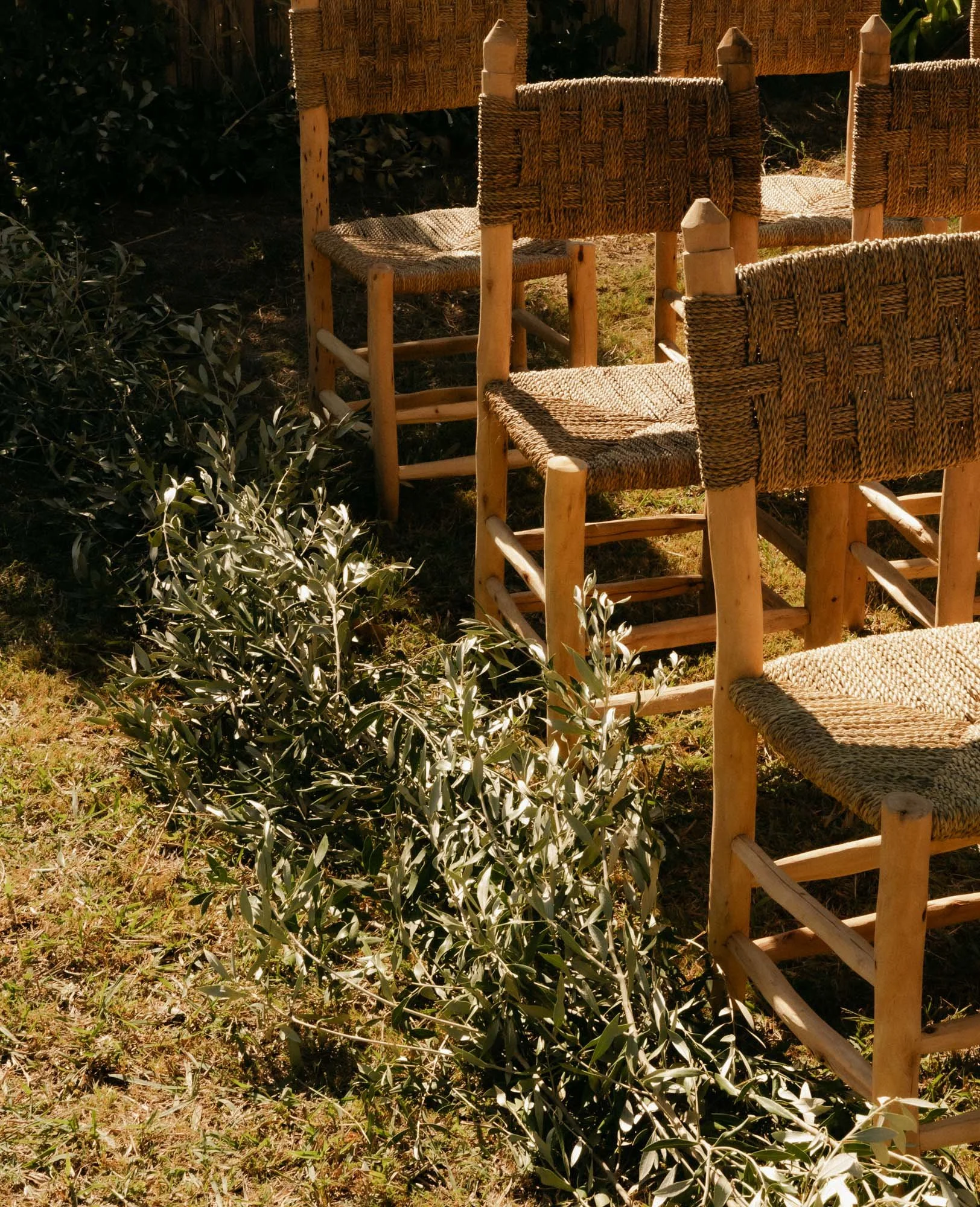 Editorial wedding ceremony photography blending natural light and authentic emotion