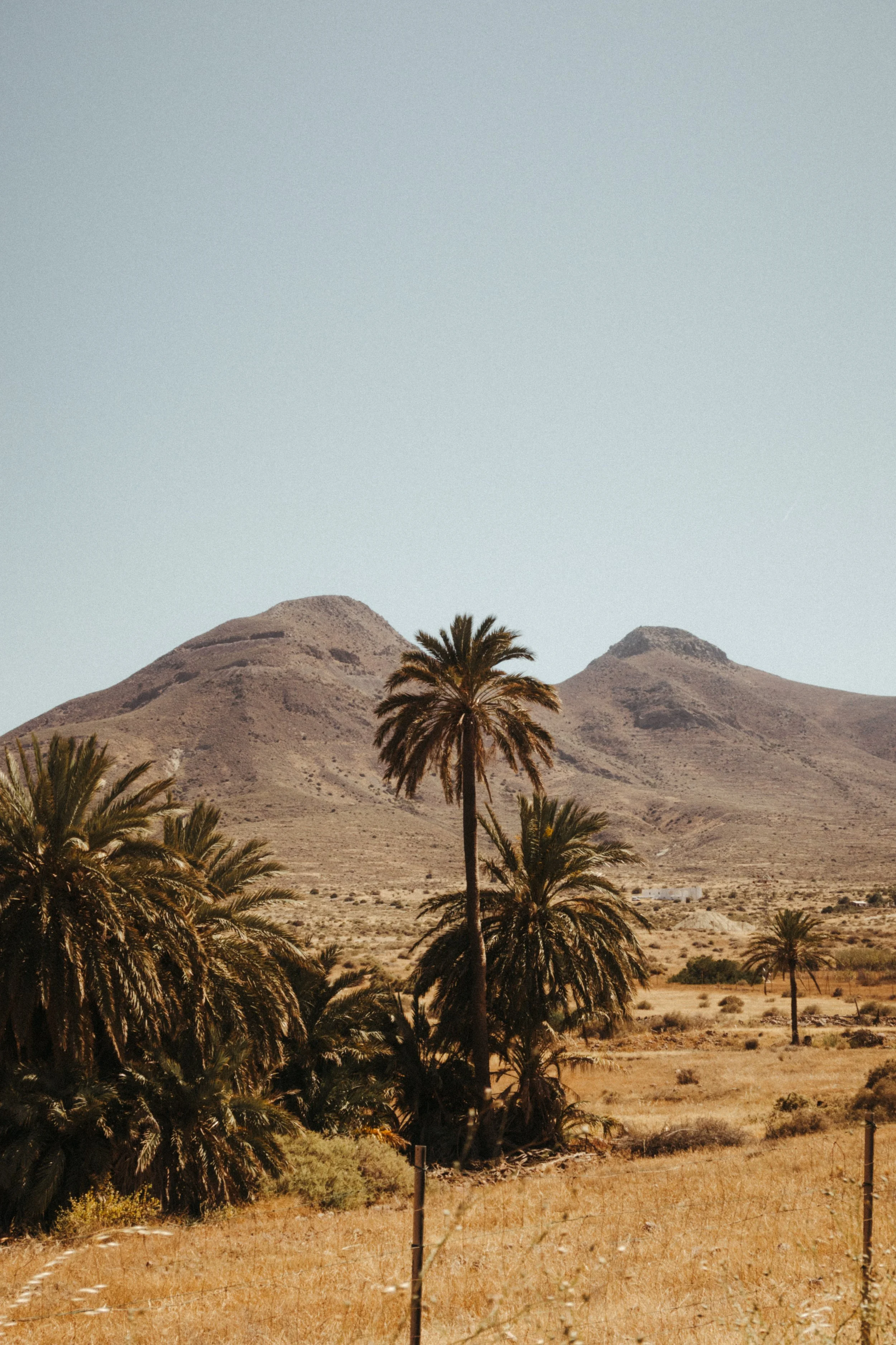 Golden hills and MMediterranean coastline in rural Almería
