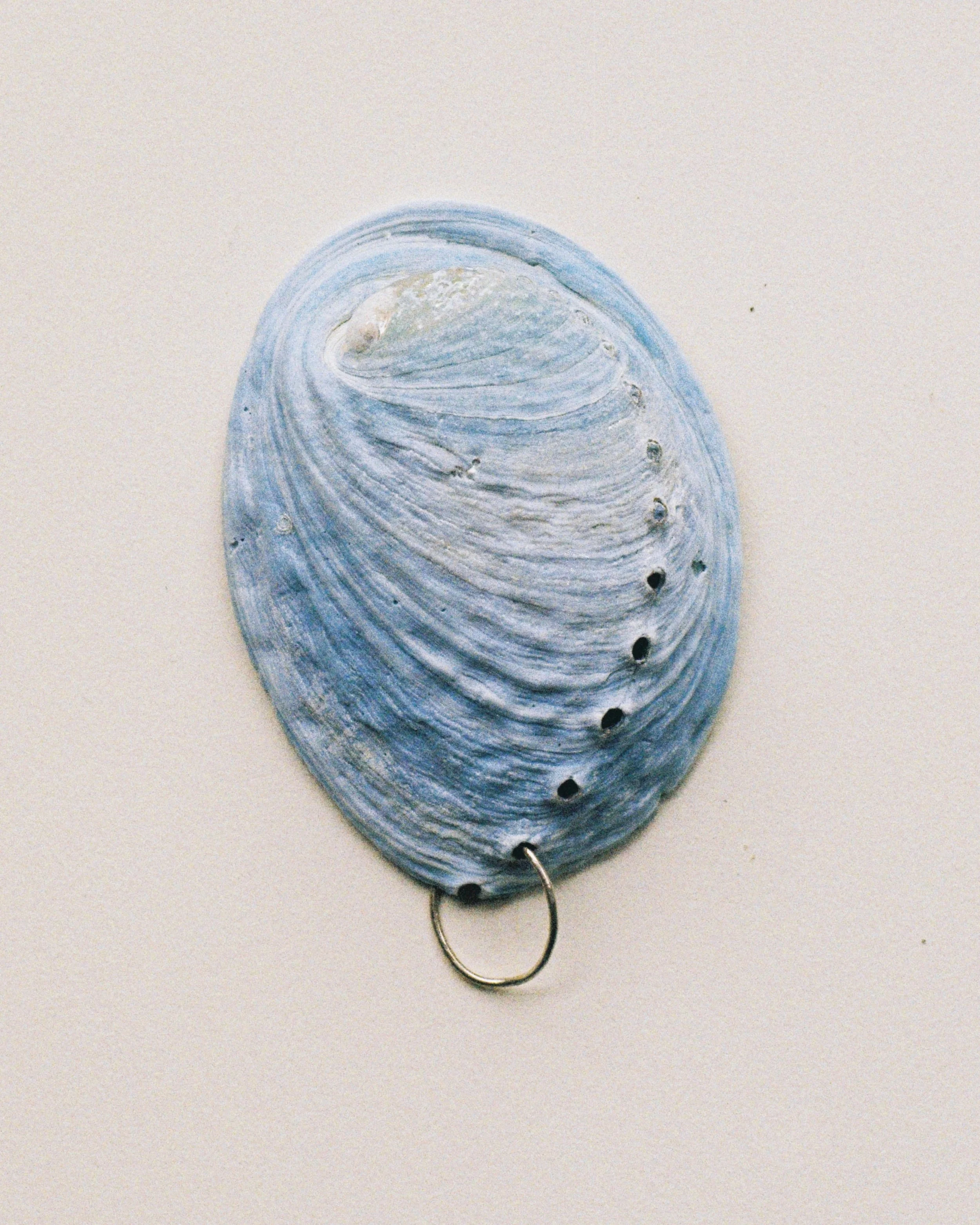 Abalone Blue 01