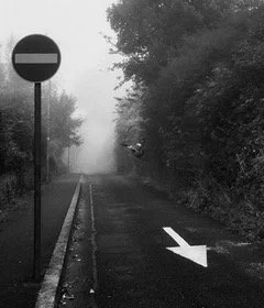 Evolution always finds  a way - Sabrina Heinrichs