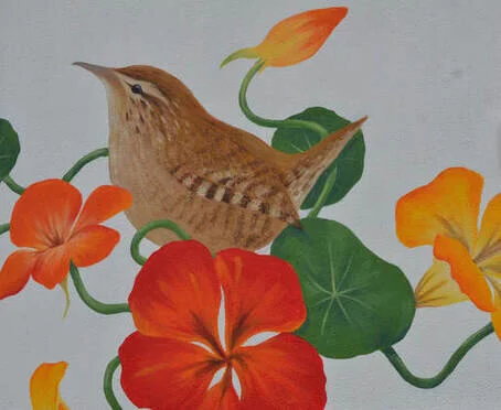 wren.jpg