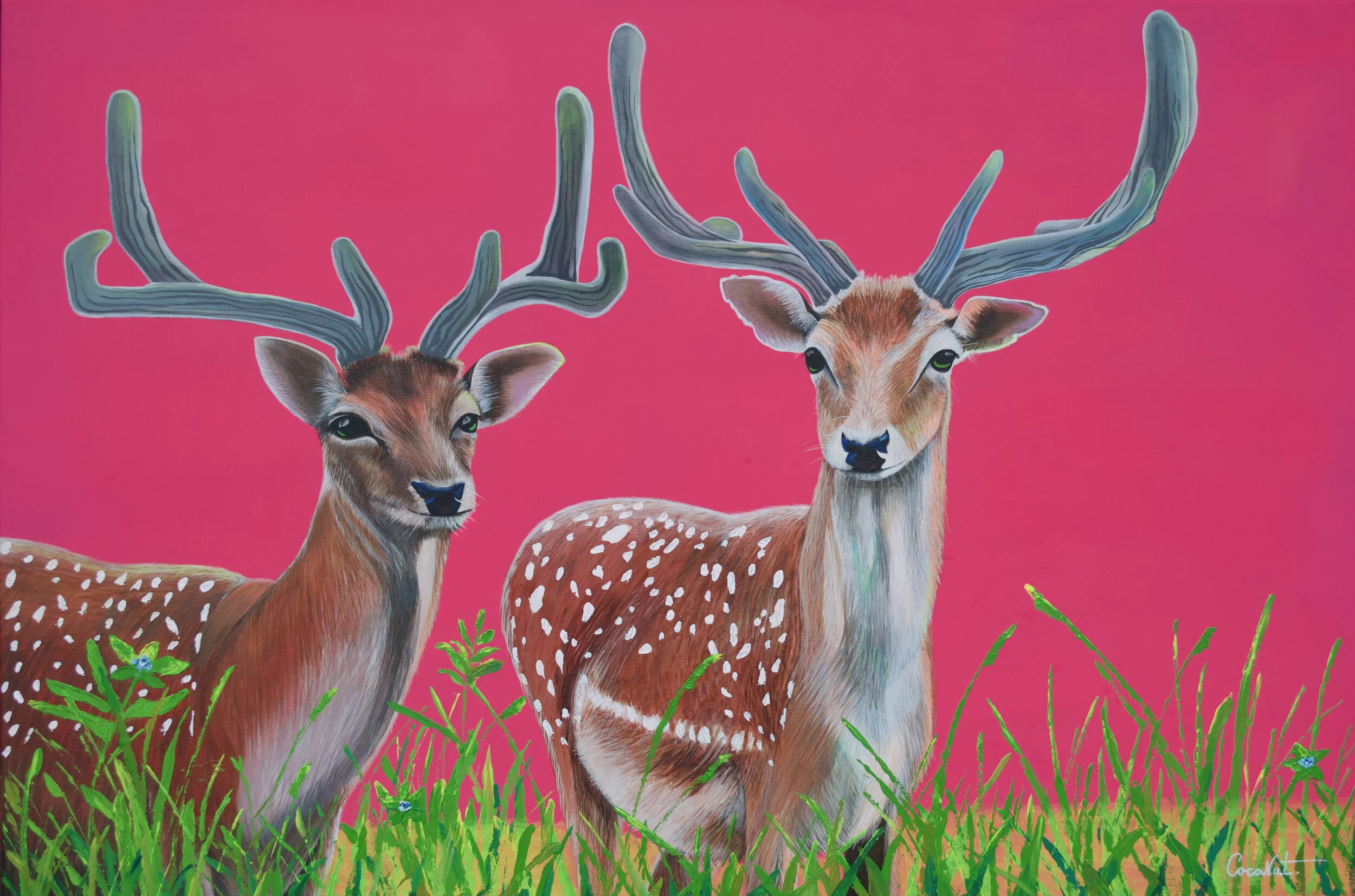 Winner of Fallow Me Art Raffle