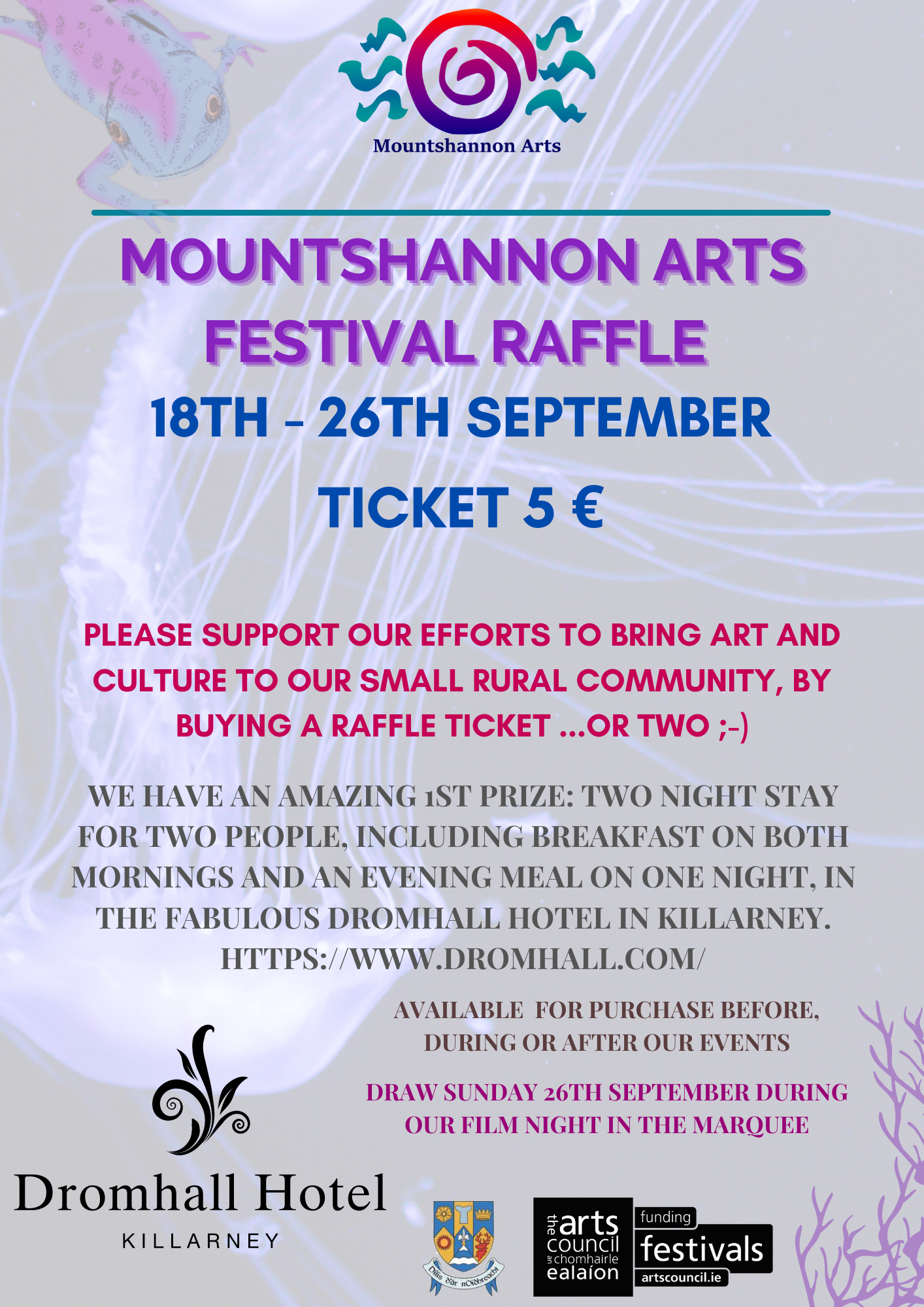 Festival Raffle