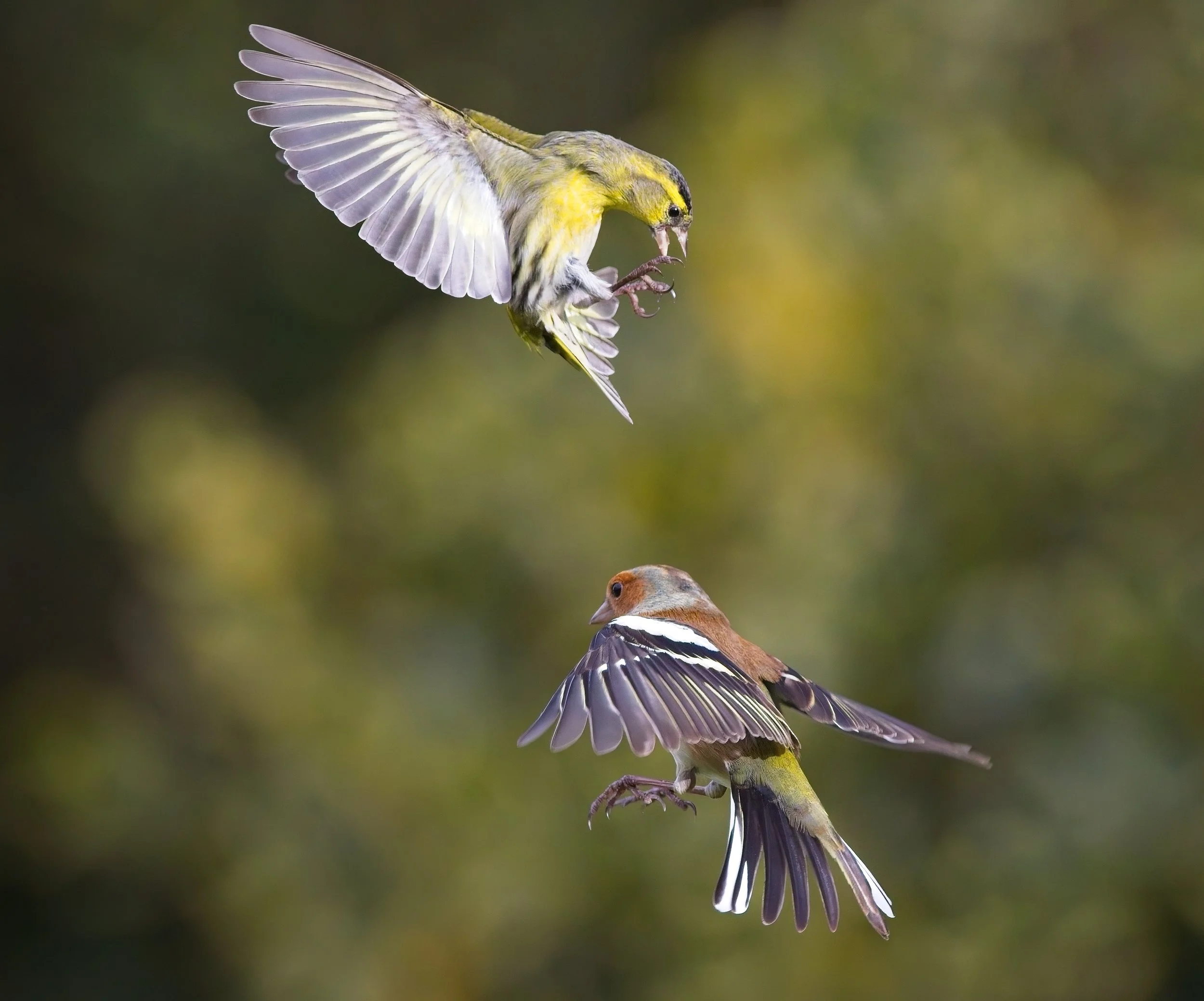 2026 Amateur Photography Competition winner announced