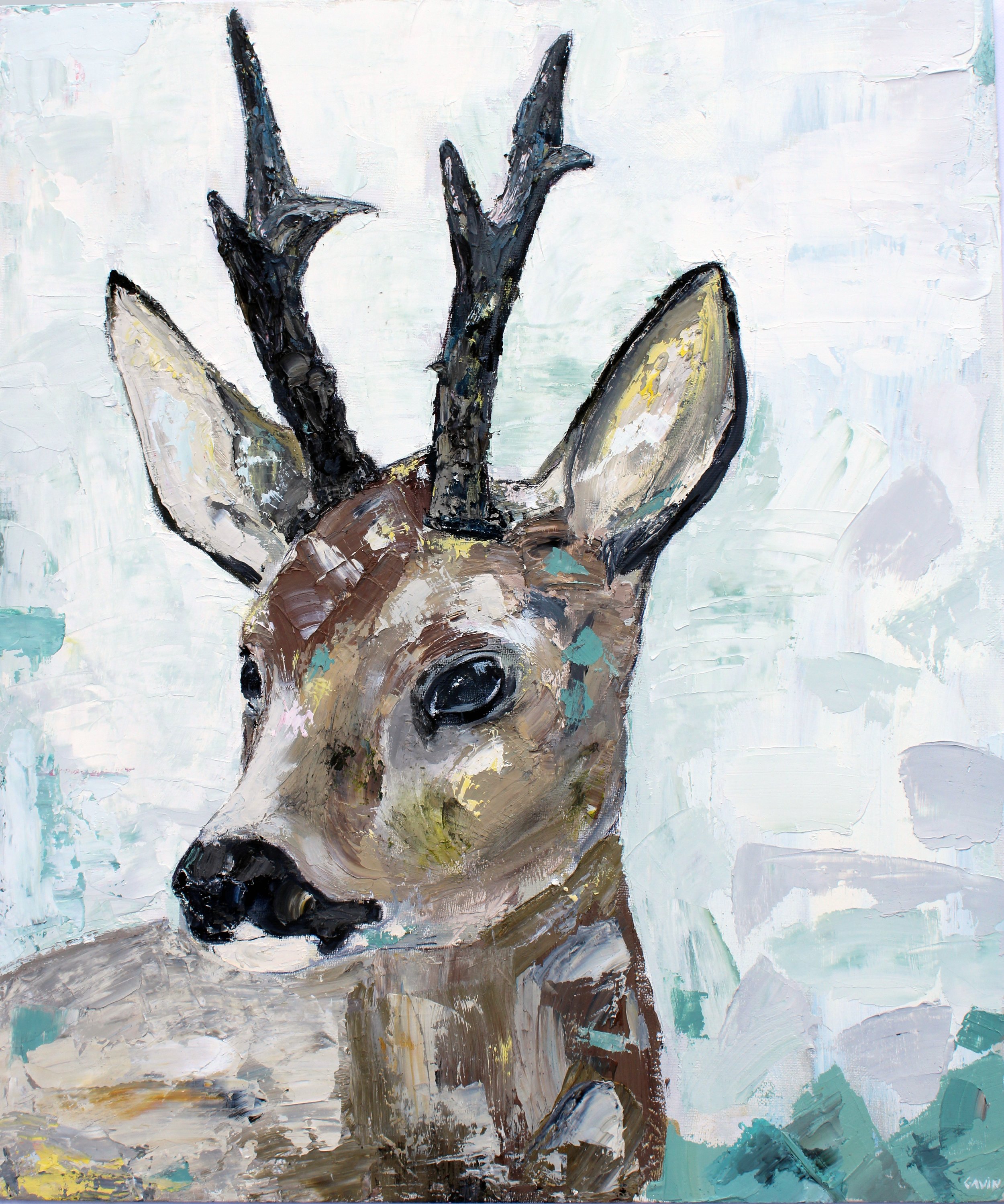Young Stag Spring