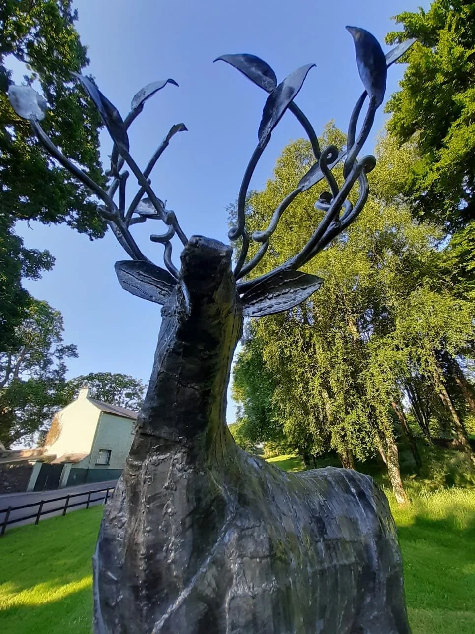 stag2.jpg