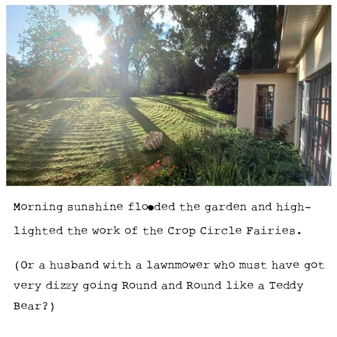 #cropcircles #roundandroundthegarden #lookwhatiwokeupto #greenfingers #cuttingthegrass #africangarden