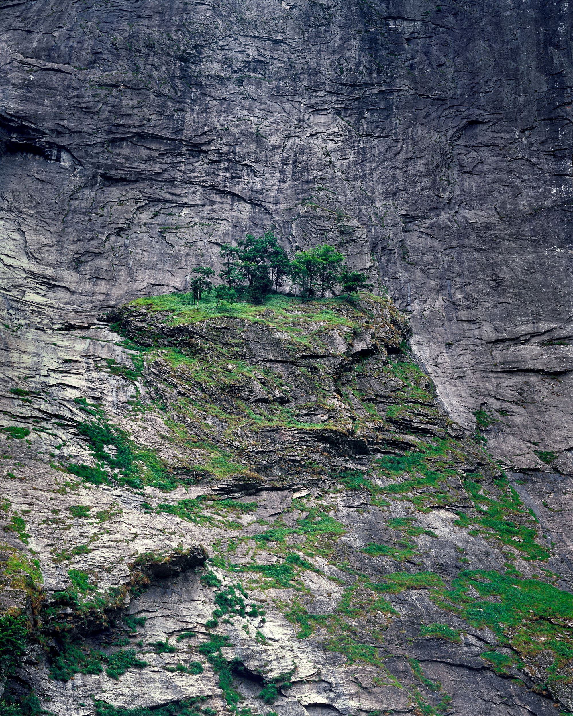 2018 08 00 - LS_0177 - Alps.jpg