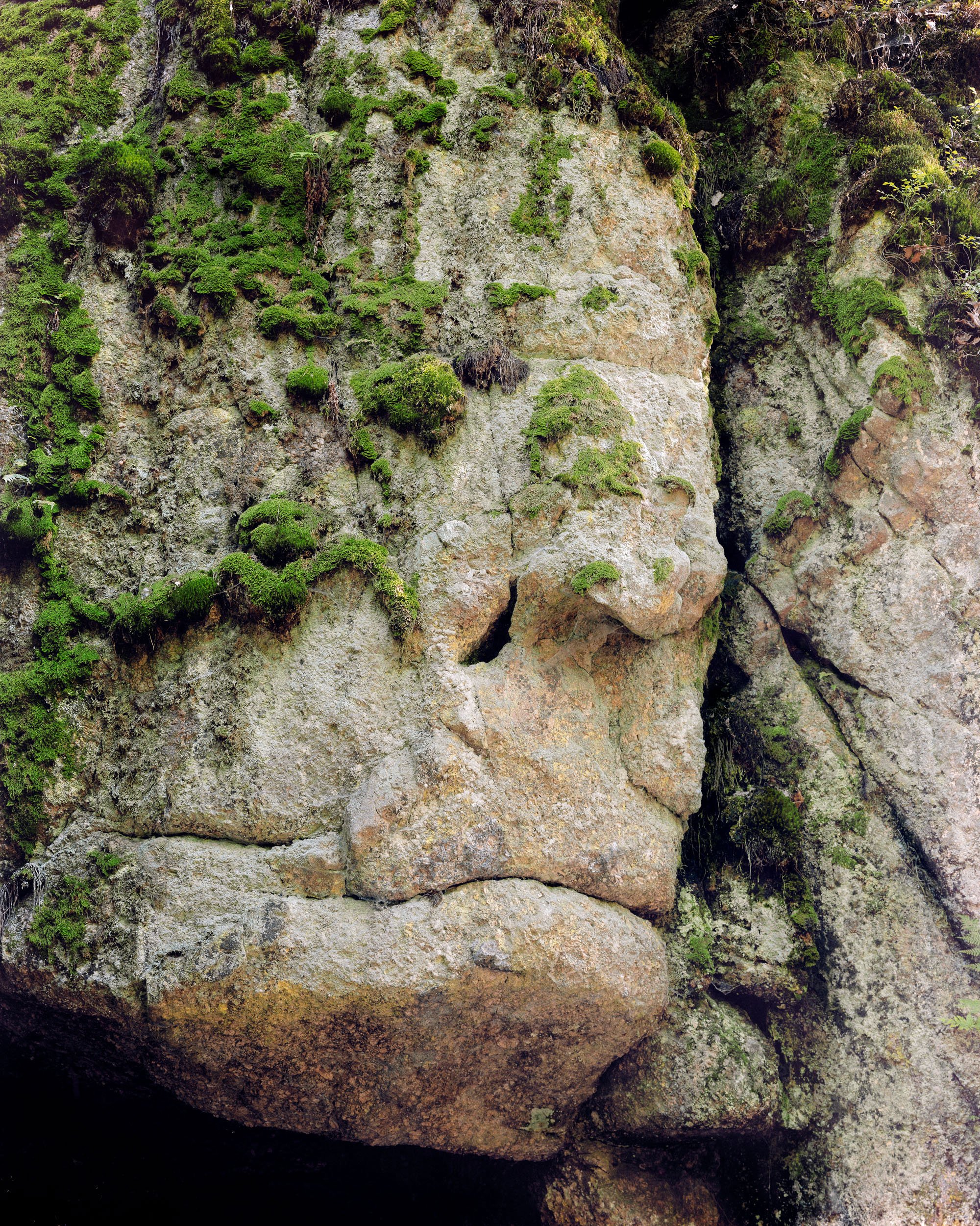 2020 08 00 - LS_251- Alpes II.jpg