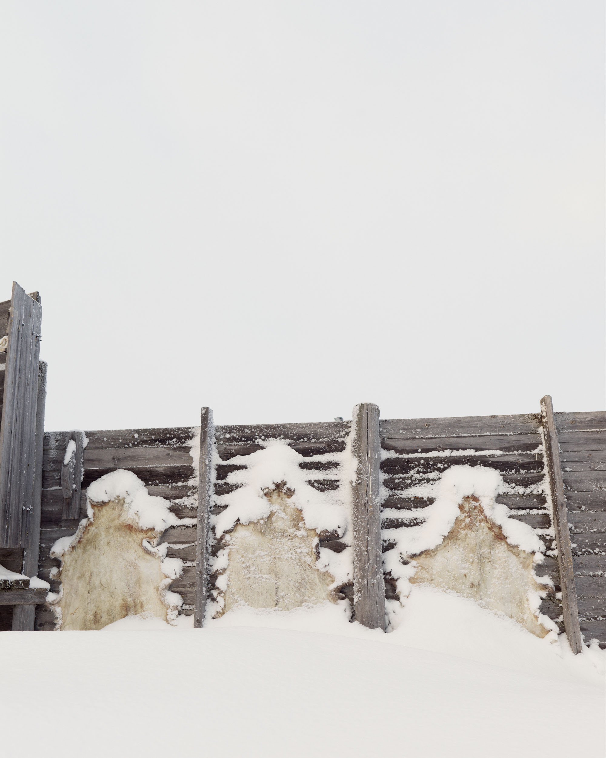 2022 03 02 - LS_0291 - Sapmi.jpg
