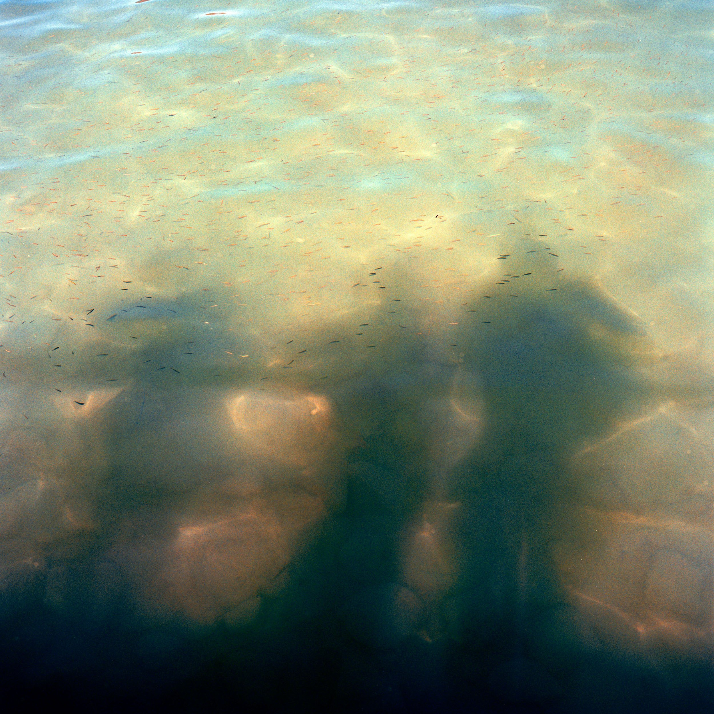 2022 08 07 - Scan_21_0630.jpg