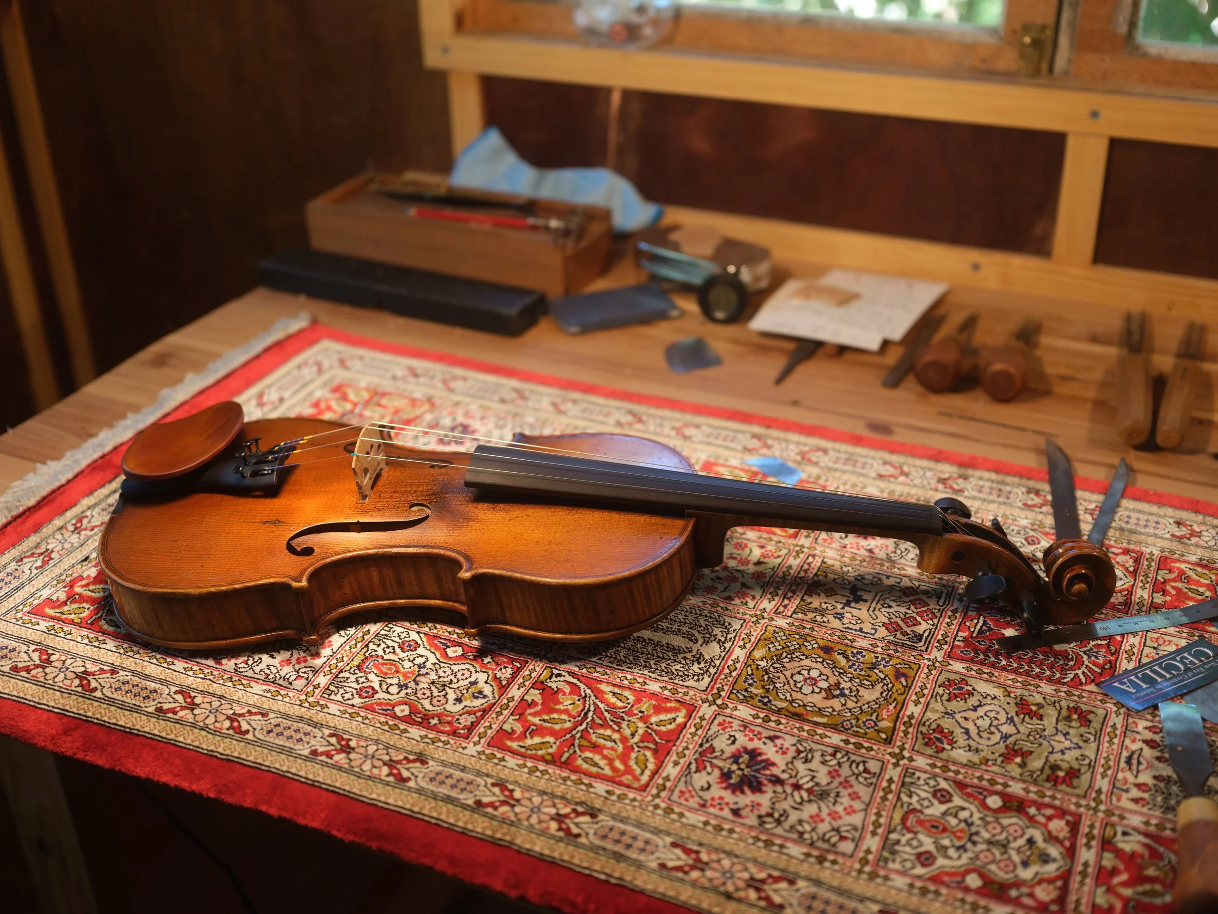 Beautiful hand made violin, lying on a Persian rug in our Sunshine Coast workshop. Master violinmaker.