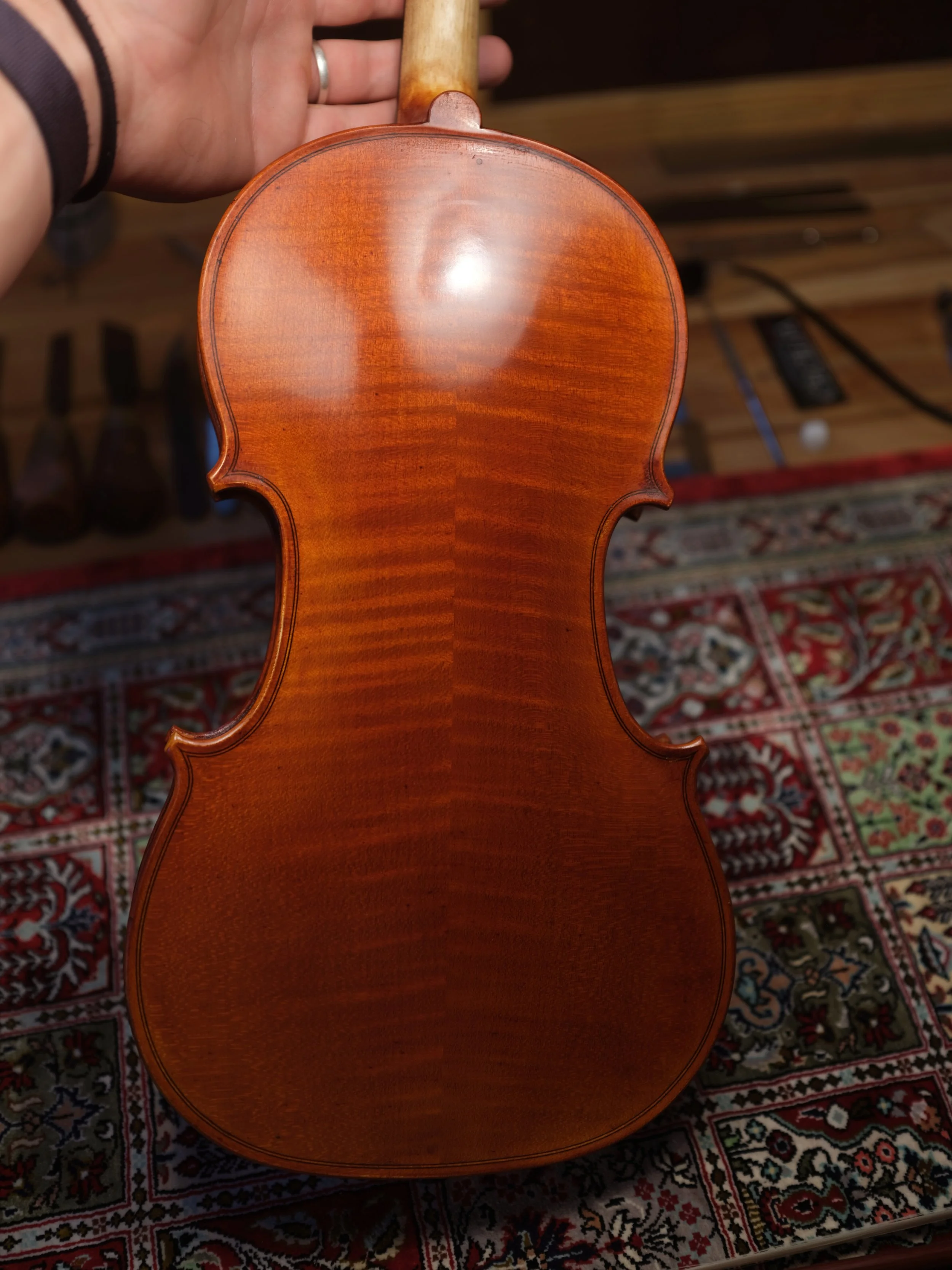 Back of a wooden violin held by a person's hand, displaying its polished, brown, glossy surface with visible wood grain.