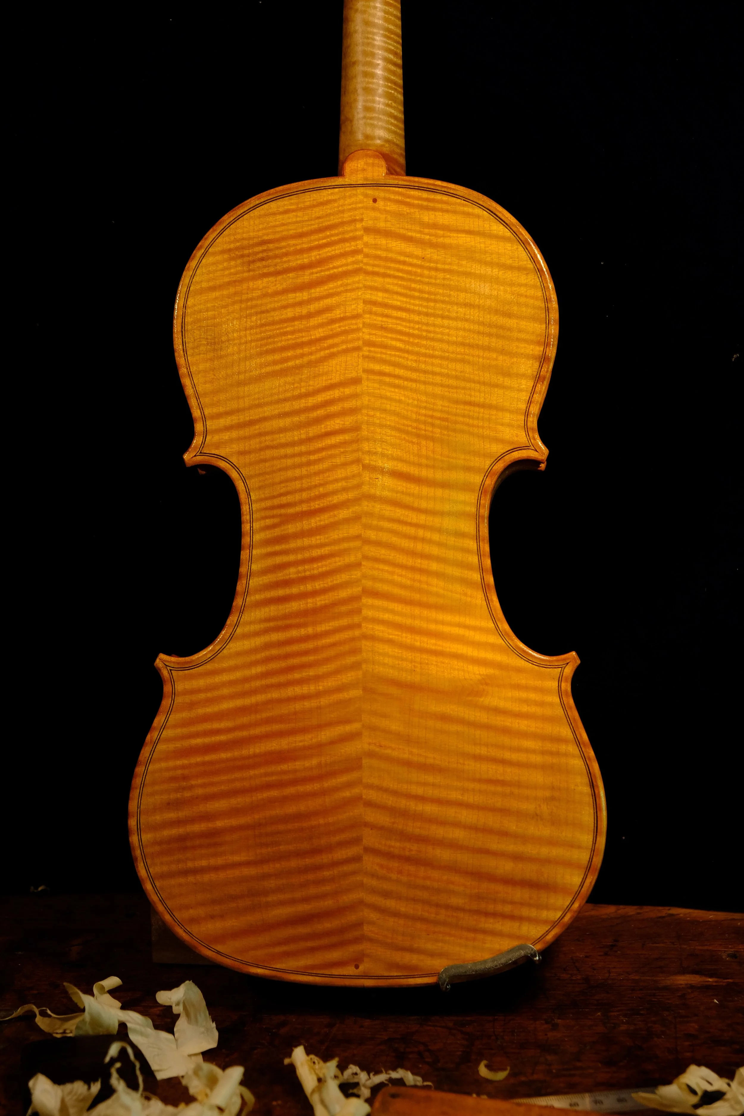 Back of a wooden violin with a shiny finish, sitting on a wooden surface, with wood shavings around it and a black background.