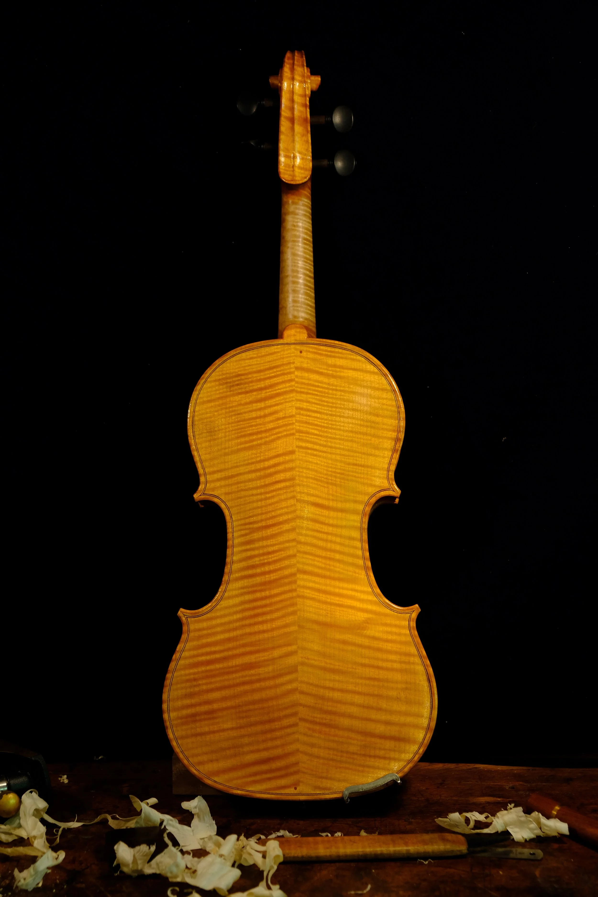 Back view of a polished wooden violin on a dark background.