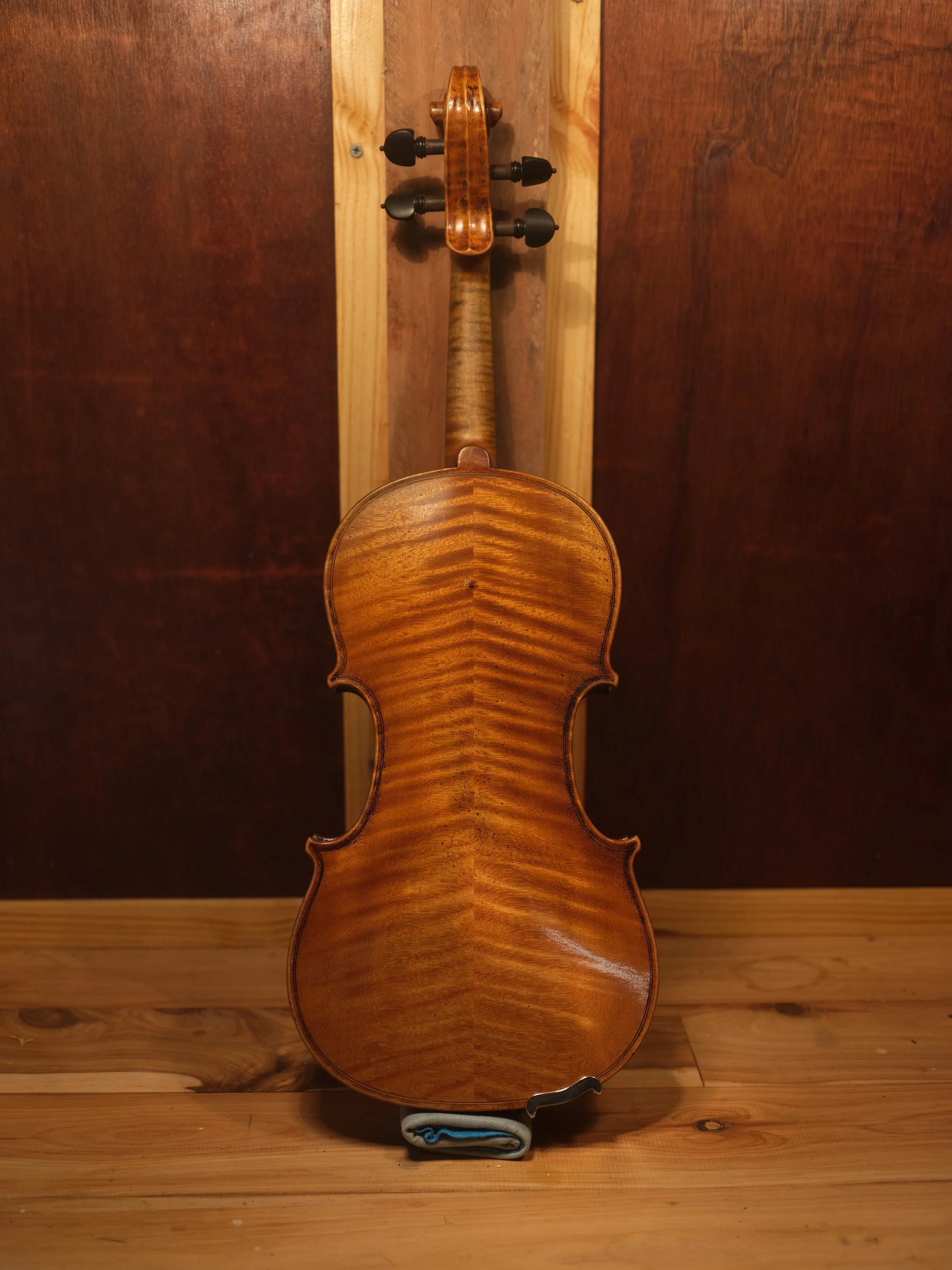 Back of a wooden violin with a scroll, resting on a wooden floor, in front of a wooden wall.