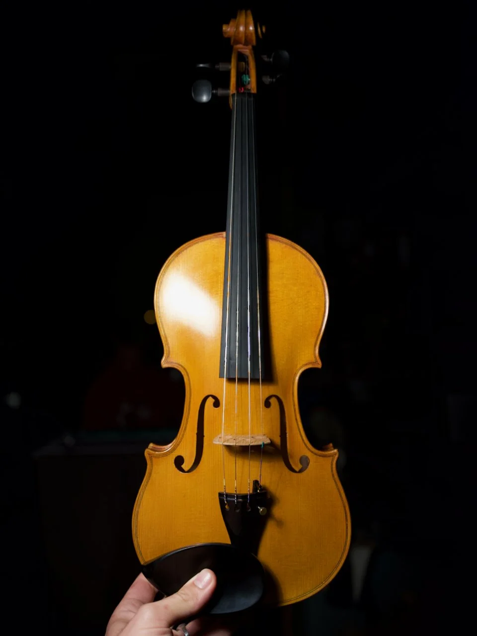 7/8 Violin "Lucy" 2026