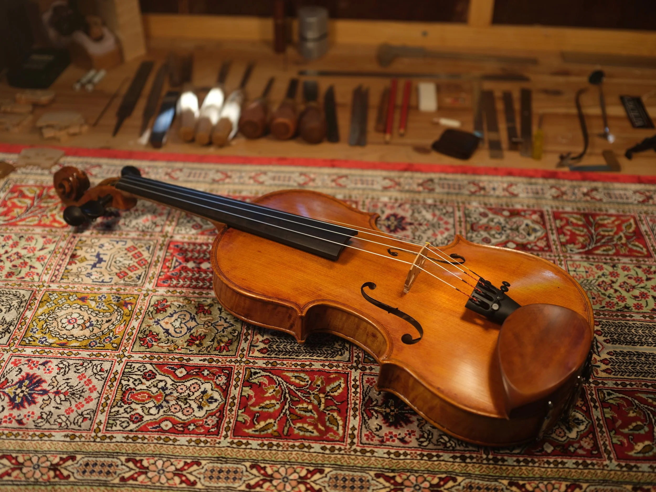 Beautiful hand made violin, lying on a Persian rug in our Sunshine Coast workshop. Master violinmaker.