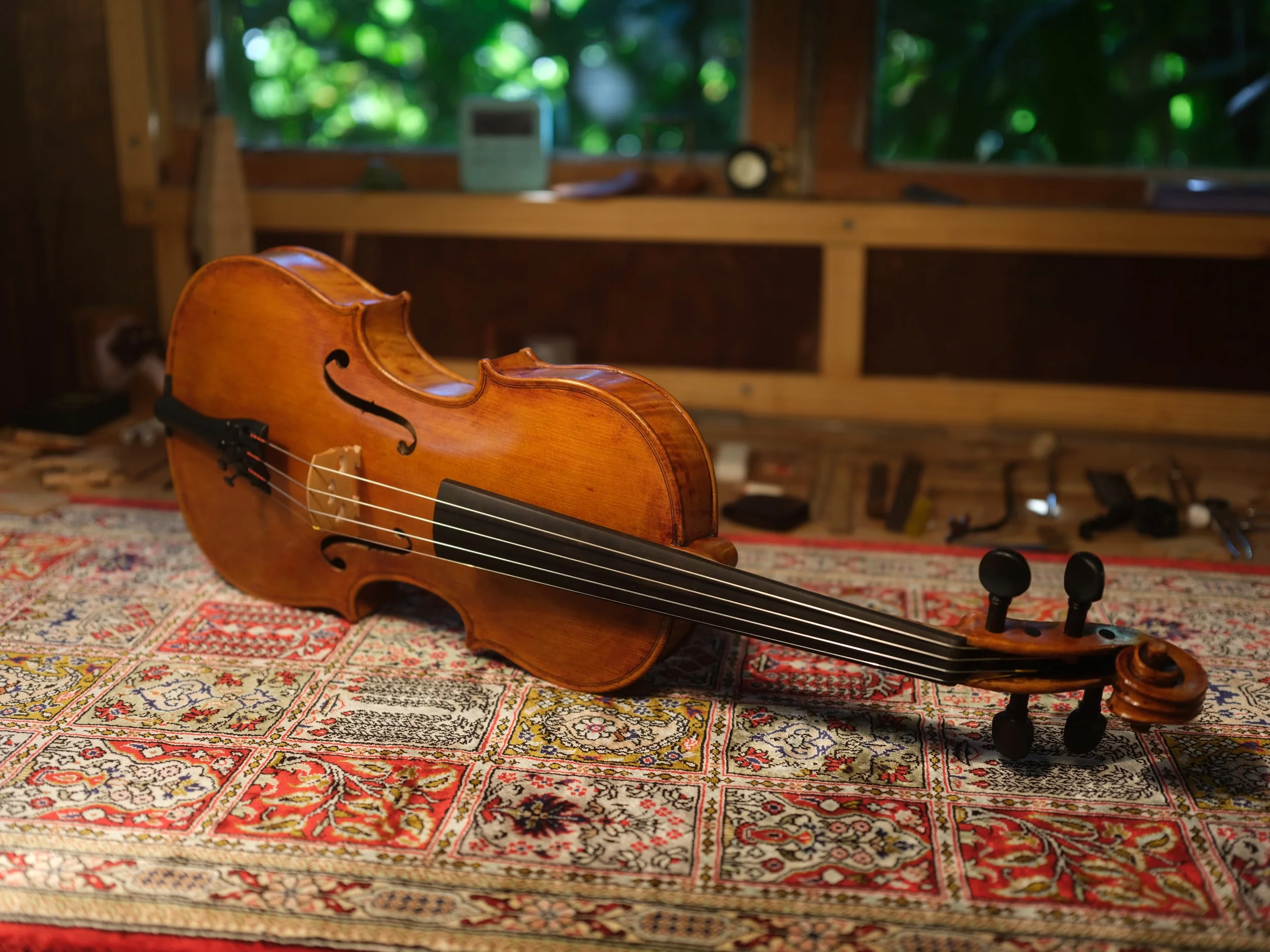 Beautiful hand made violin, lying on a Persian rug in our Sunshine Coast workshop. Master violinmaker.