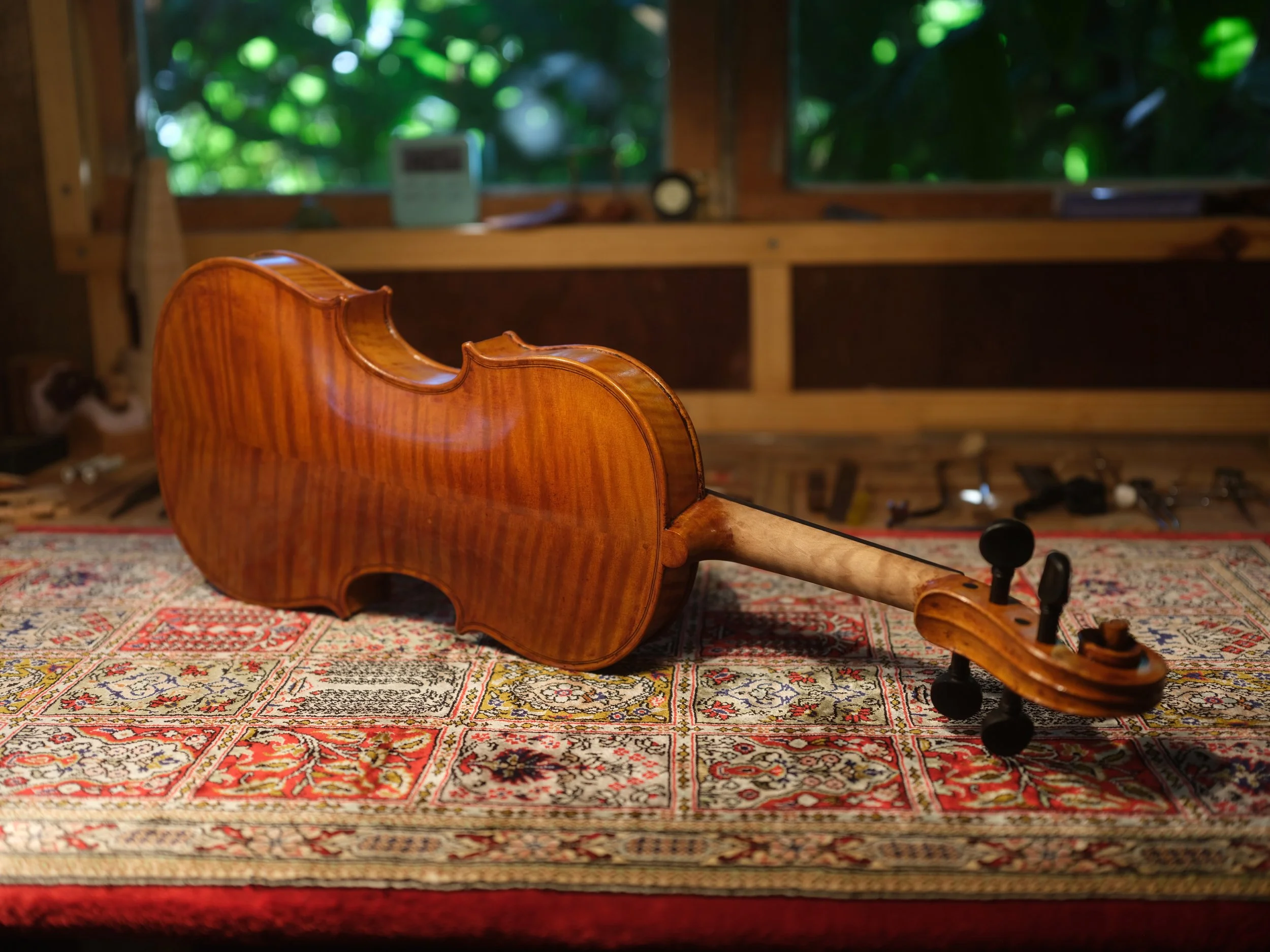 Beautiful hand made violin, lying on a Persian rug in our Sunshine Coast workshop. Master violinmaker.