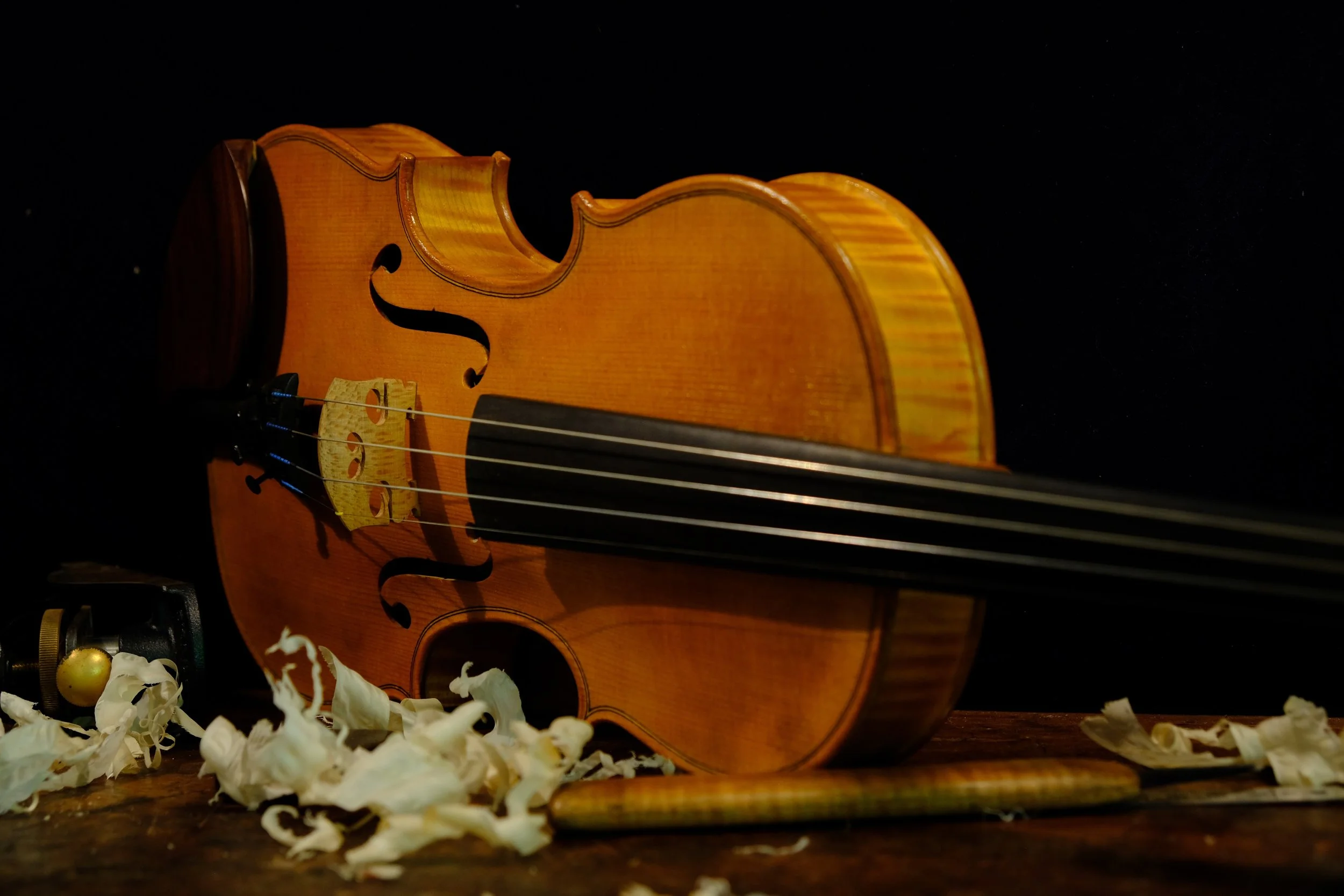 A wooden violin lying on its side on a wooden surface, surrounded by scattered white flower petals and a bow.