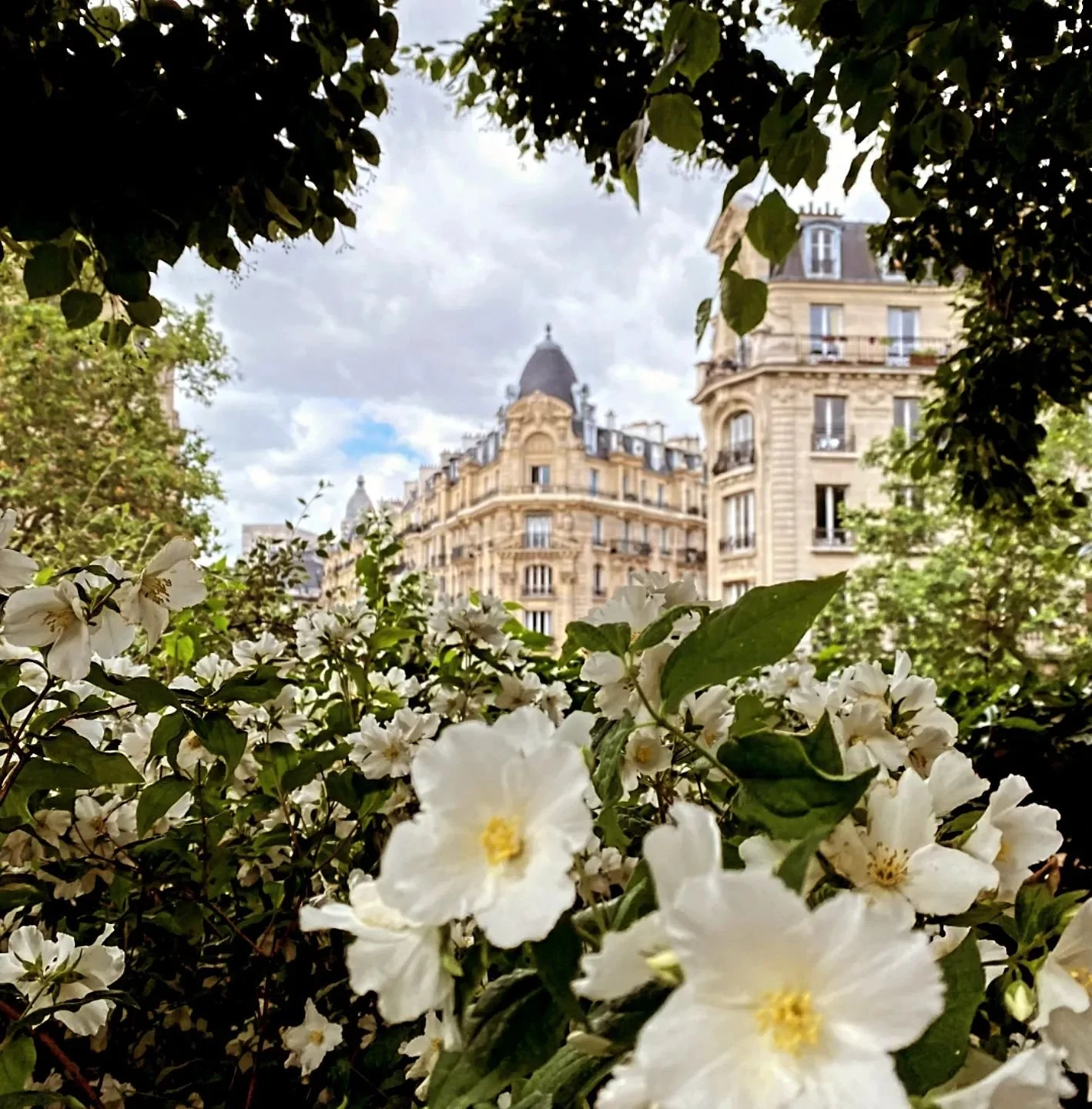 Et lite minne fra Paris i juni sammen med Kristina @tinthom - H&aring;per det ikke er s&aring; lenge til neste gang det blir svipptur til Frankrike:) 

#paris #francememanque #labellevie #love #summer #ete #fleurs #parisisalwaysagoodidea
