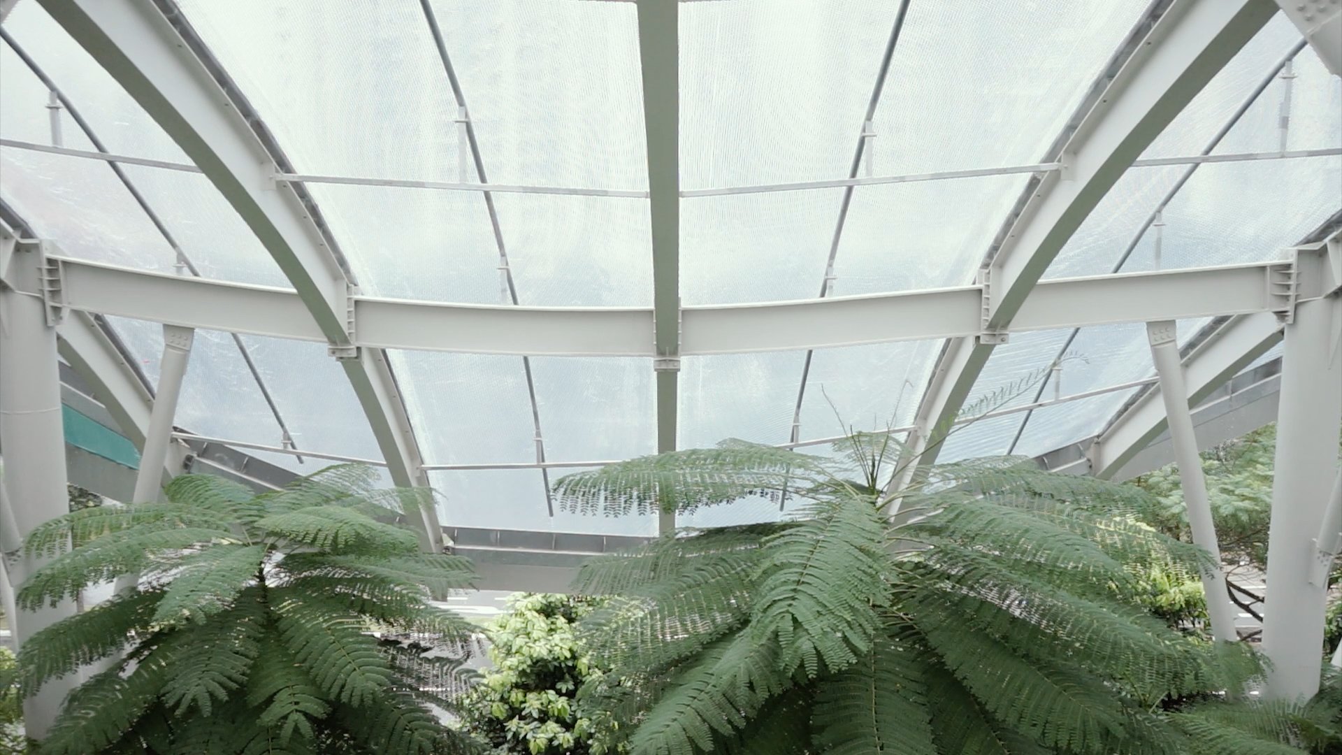 fernvale_website_7.jpg