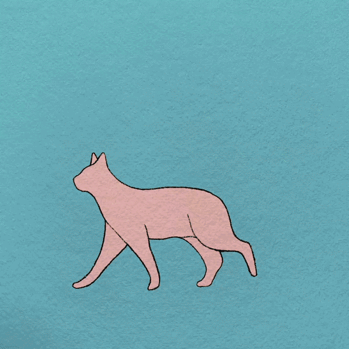 emerlinmurray-chop-cat-dog-02.gif