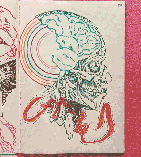 A drawing of a human skull with a brain inside, surrounded by colorful concentric circles, with some anatomical features like muscles and nerves visible, and red abstract shapes beneath it.
