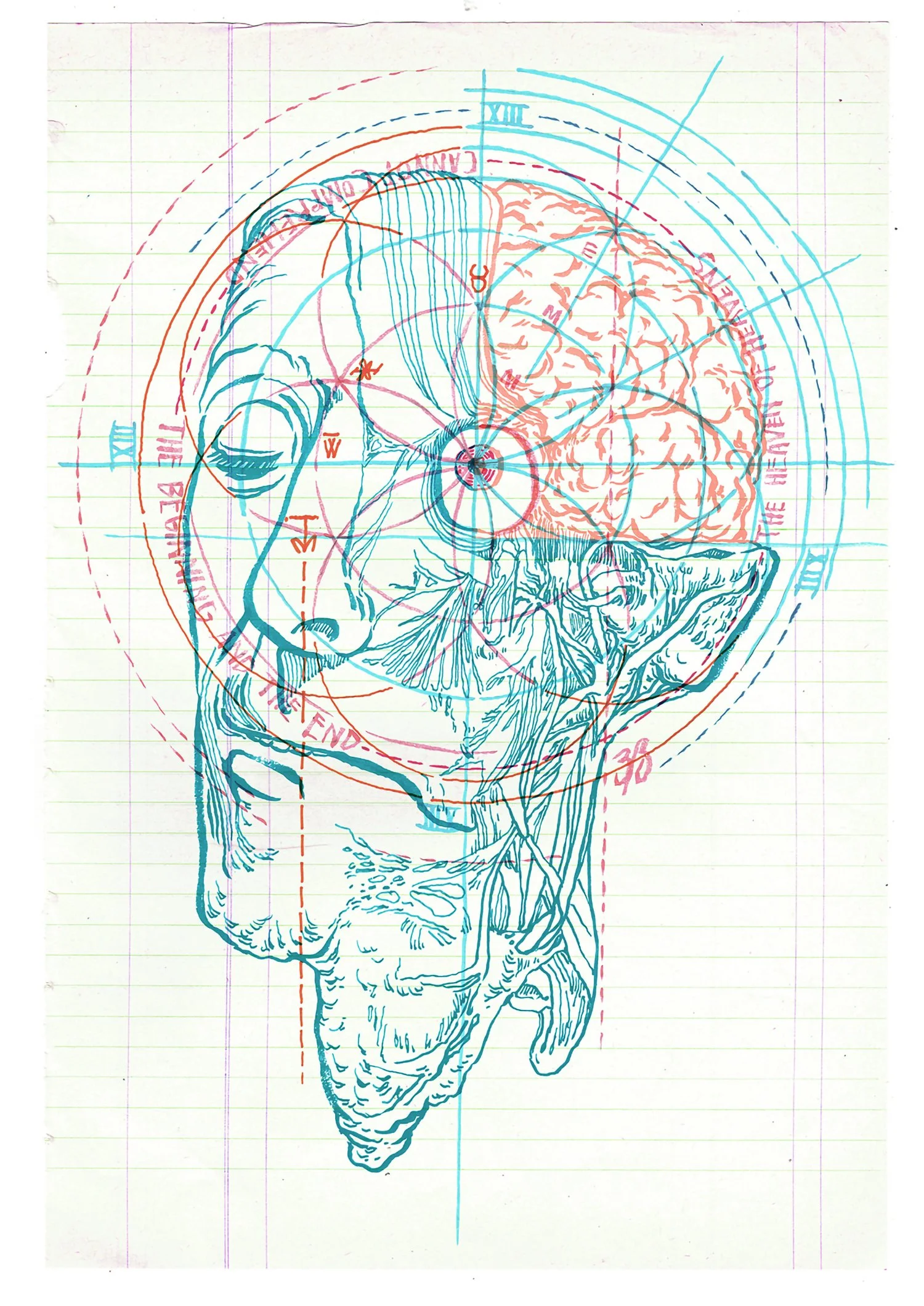 A layered diagram of a human head, showing anatomical and brain details with additional circles, lines, and markings in red and blue, over a graph paper background.
