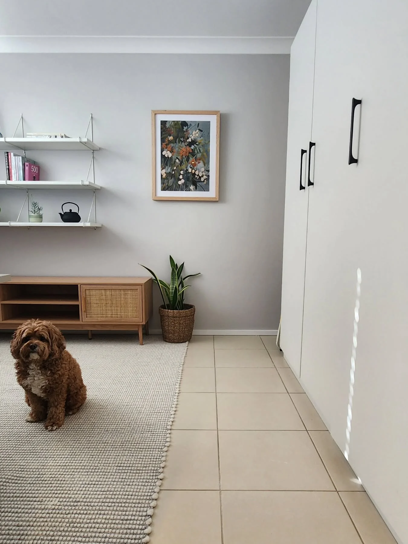 This puppy making a guest appearance! 

Loved working on this glow up of the Westleigh house.