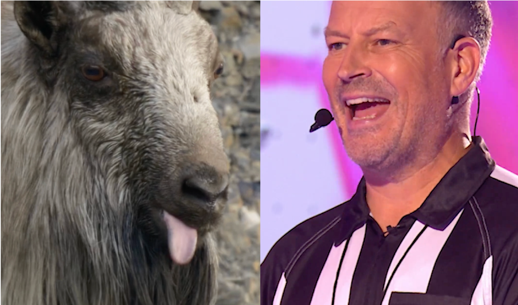 DAVID ATTENBOROUGH SOCIAL