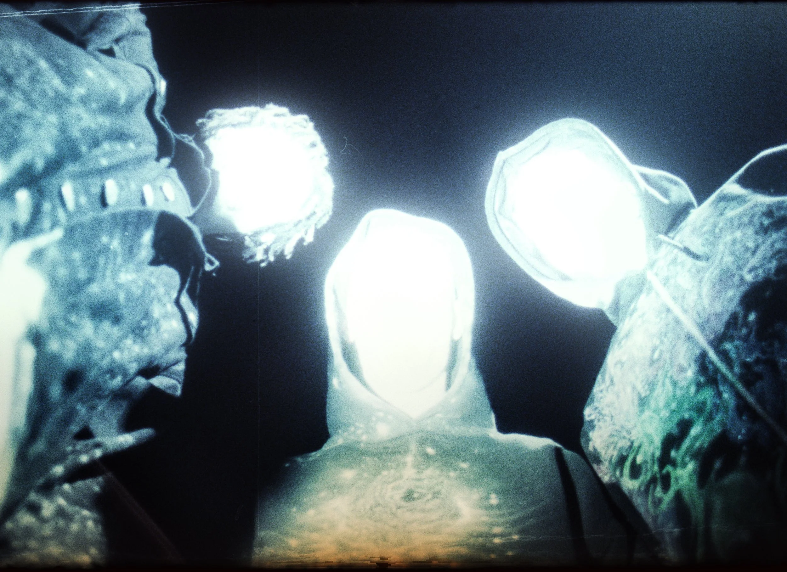 IN THE HEART OF THE FLOWER CITADEL