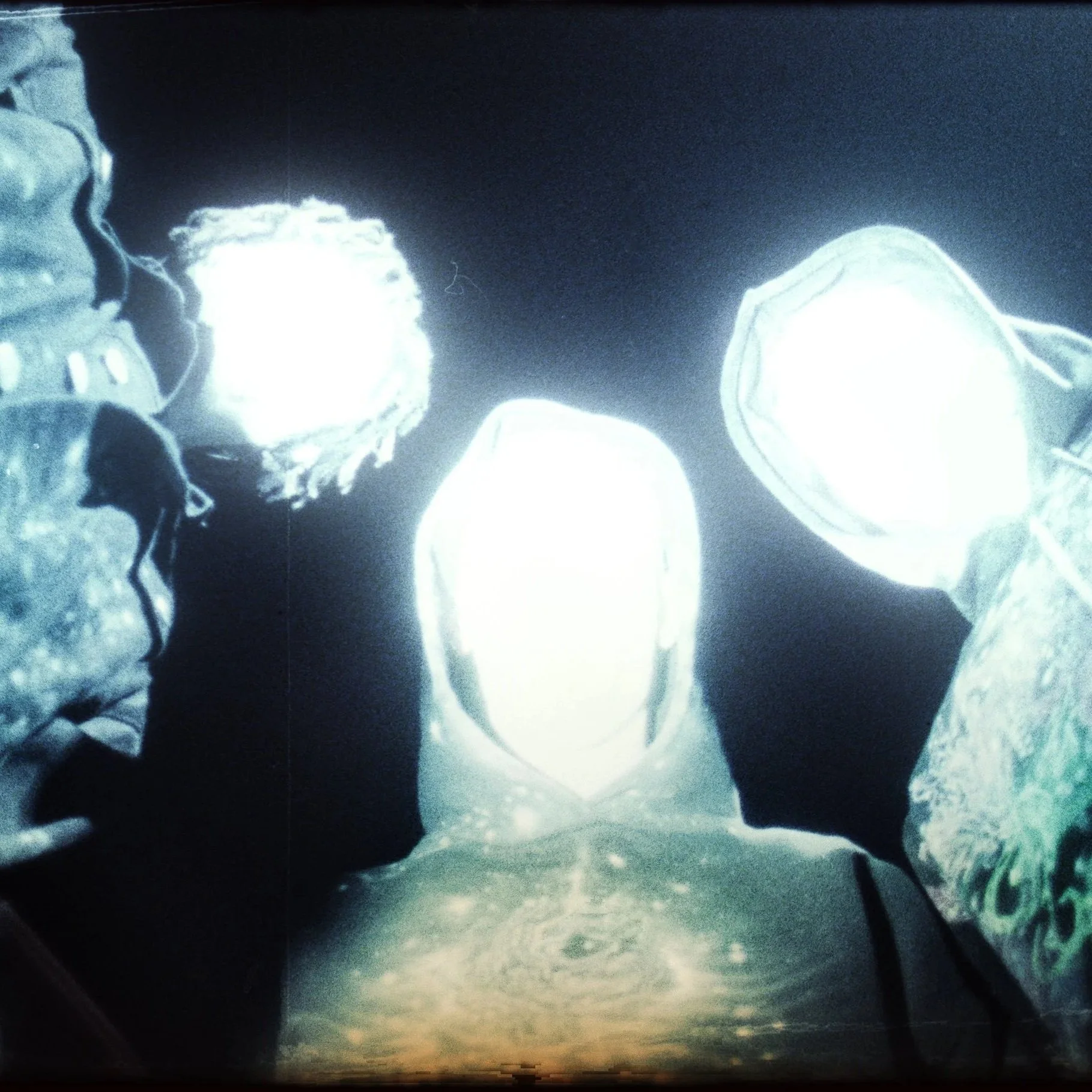 IN THE HEART OF THE FLOWER CITADEL