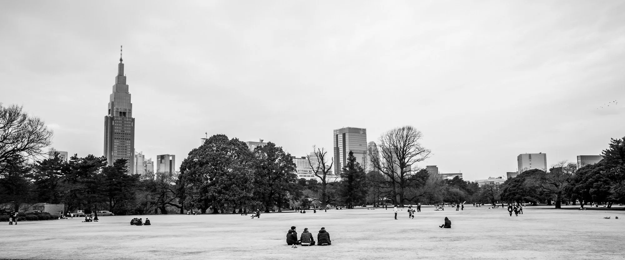 DSC_0539-3.jpg
