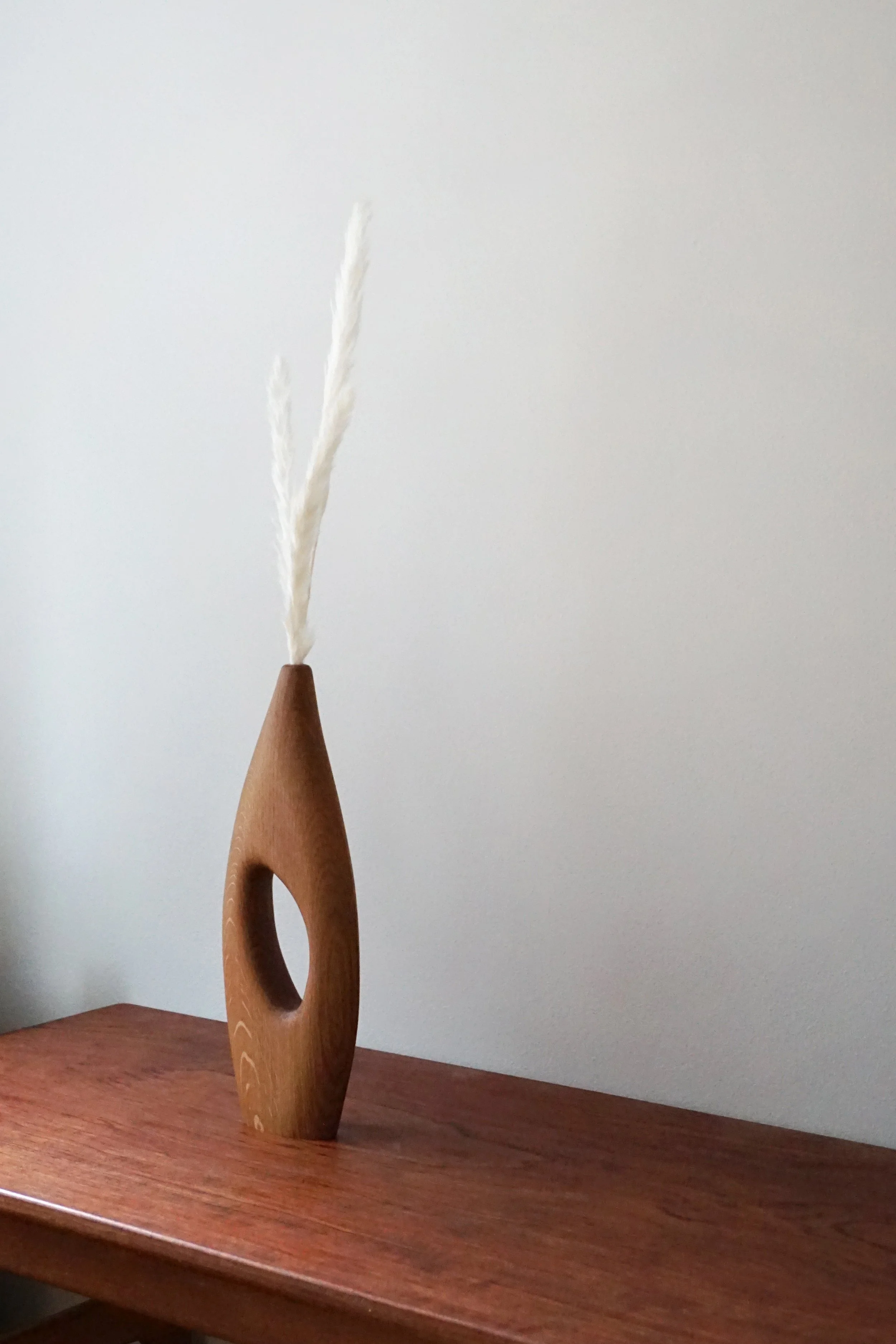A wooden sculpture with a long, curved shape and an oval hole in the middle, placed on a wooden table against a plain white wall. Two fluffy white reeds are held in front of the sculpture.