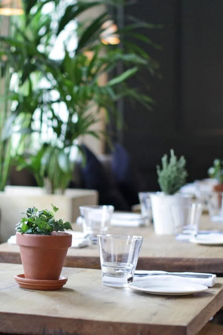How To Get Serious About A Zero Waste Lifestyle