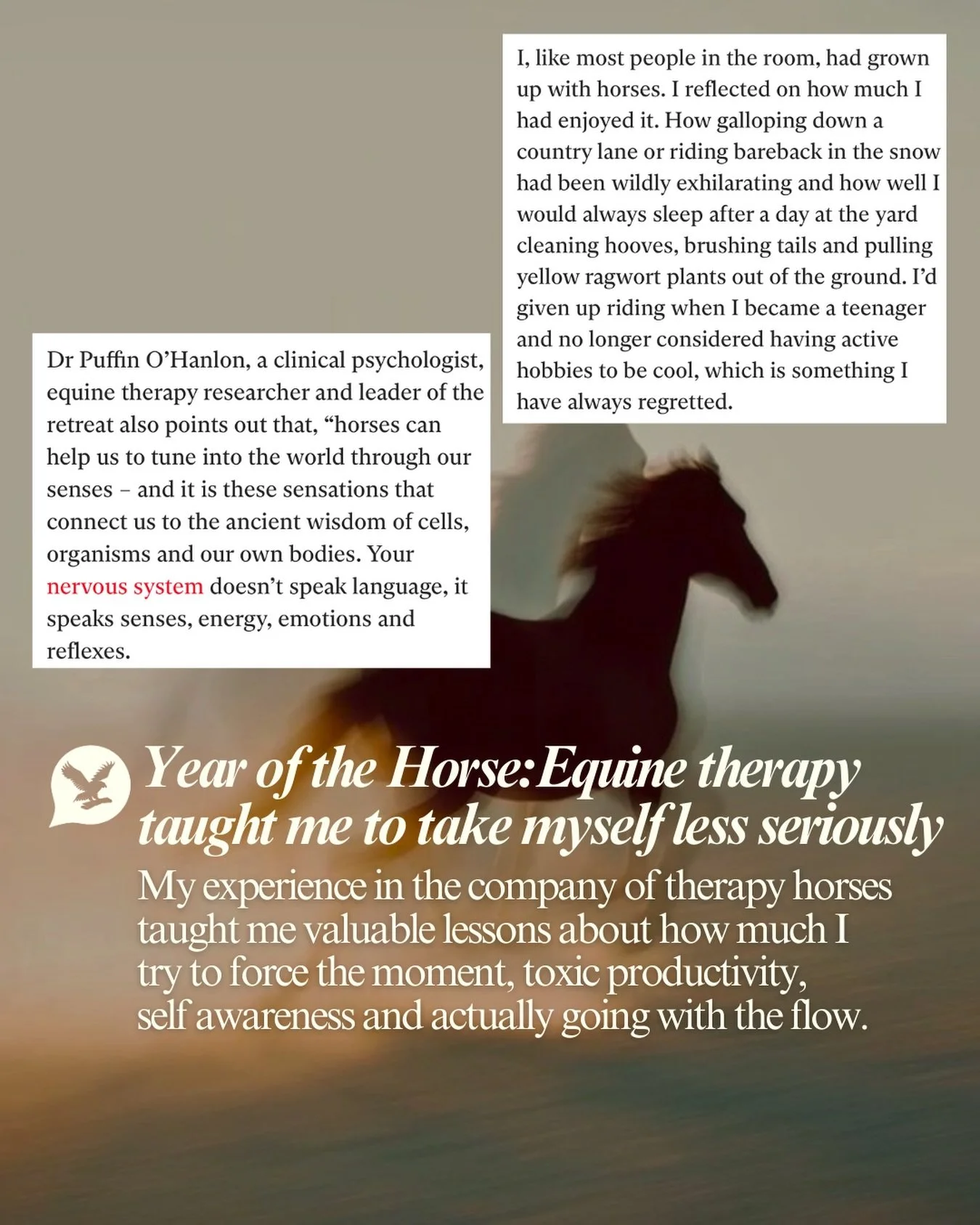 I am among the ranks of those who&rsquo;ve leant into the symbolism of the Chinese zodiac this year. But instead of a great gallop forward, for me, the horse has symbolised self awareness, being grounded in the moment and letting go of anything that 