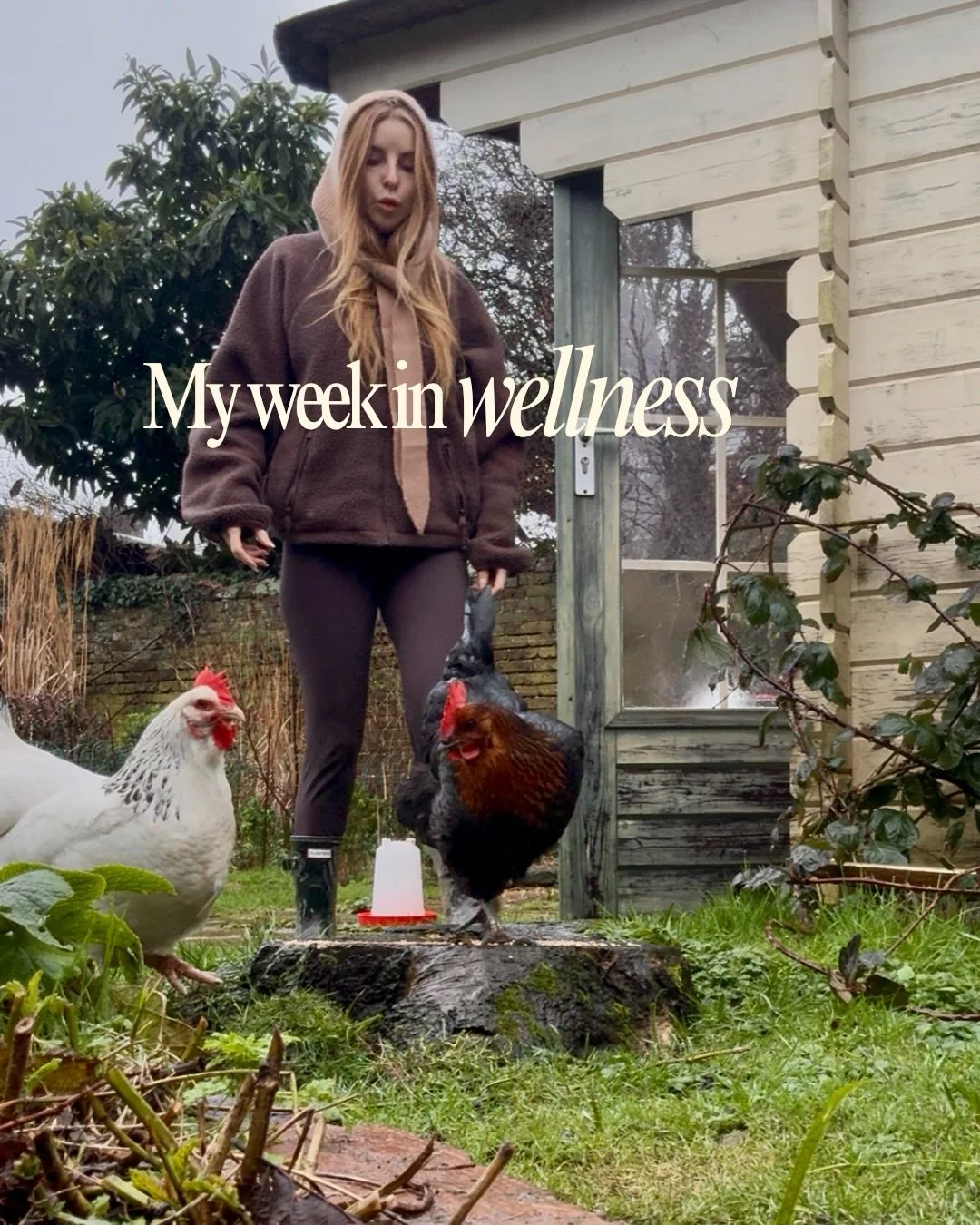 Another week in wellness. Say hello to the girls! 🐓 

I&rsquo;ve spent the week in Sussex walking in the woods, chasing chickens and seeking out nourishment. Memories of childhood have been strong, permeated by question marks about the future and fr