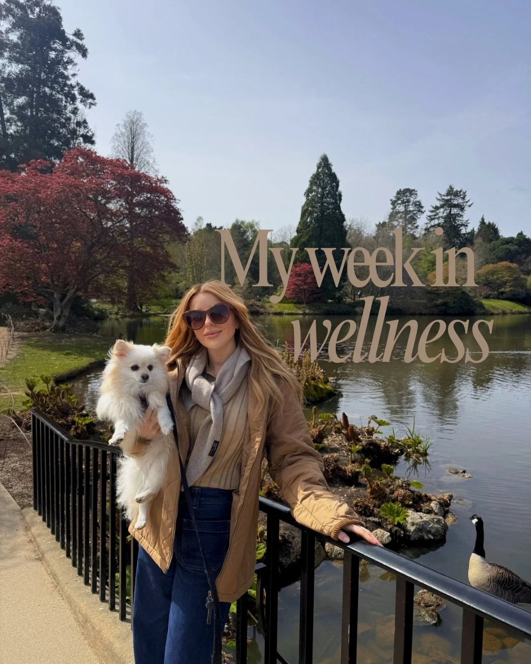 My week in wellness and Ivy and I were in Sussex for some R&amp;R ✨ I spent the week thinking deeply and filling my cup with nature&rsquo;s gifts, considering work/life balance and what I want the next decade of my life to look like. April is my birt