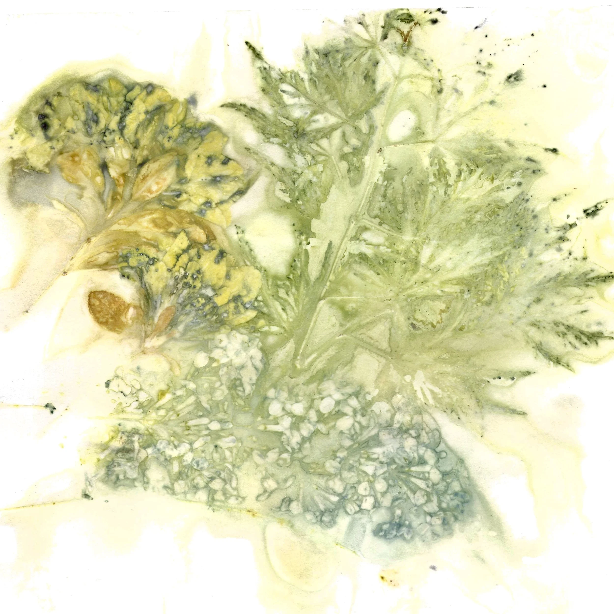 "Lilacs and Wildflowers" (Botanical Print, 8x8 inches unframed)