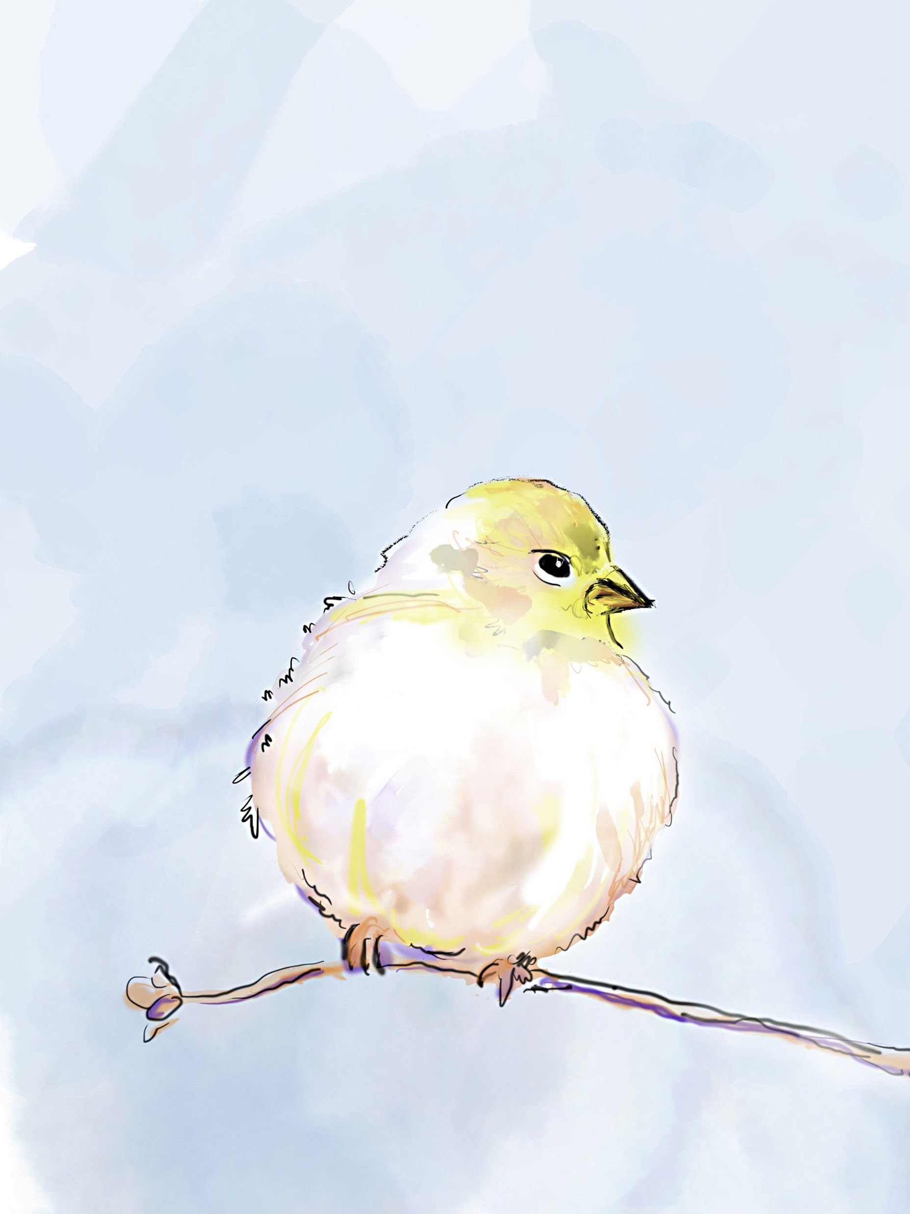Winter Goldfinch (digital)